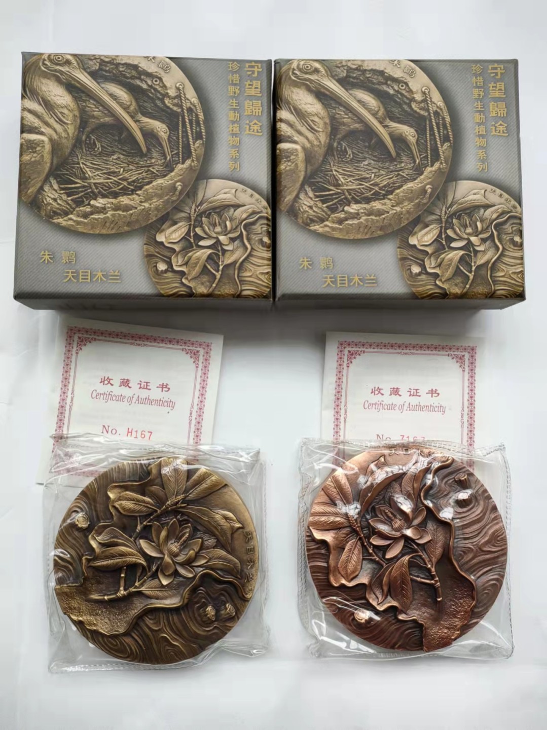 守望归途珍惜野生动植物系列，朱鹮/天目木兰