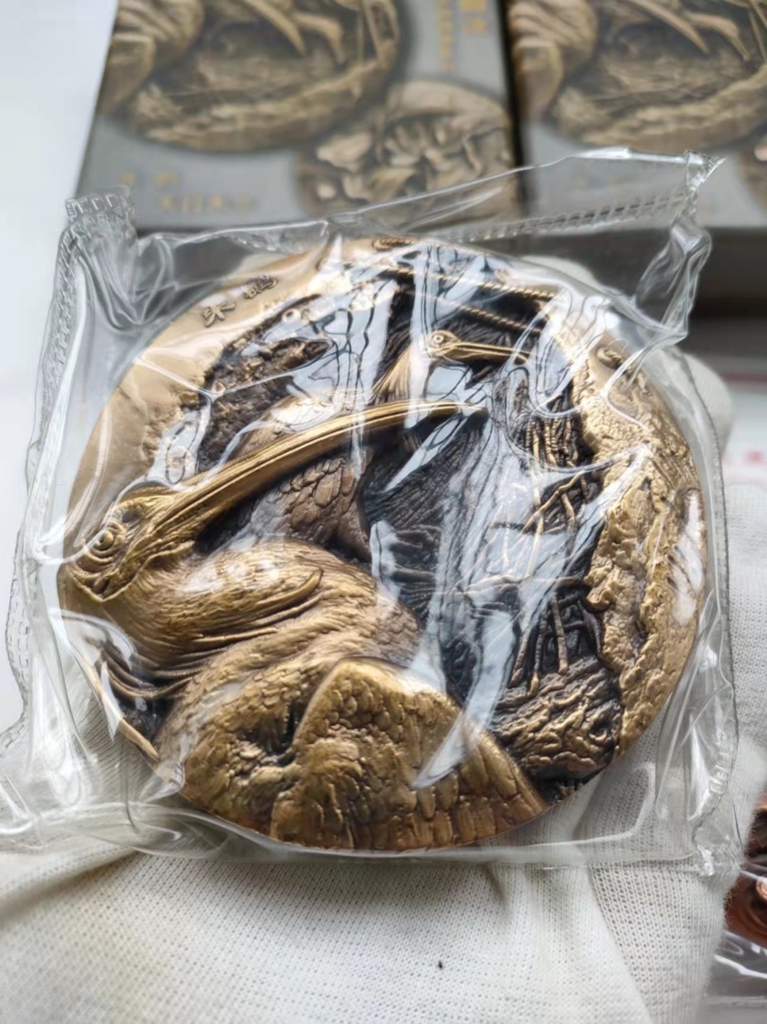 守望归途珍惜野生动植物系列，朱鹮/天目木兰