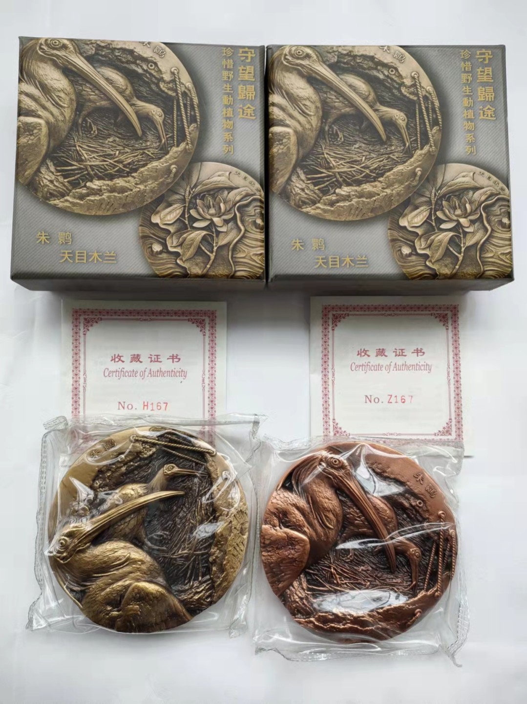 守望归途珍惜野生动植物系列，朱鹮/天目木兰