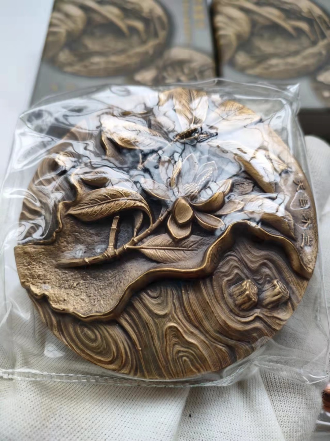 守望归途珍惜野生动植物系列，朱鹮/天目木兰
