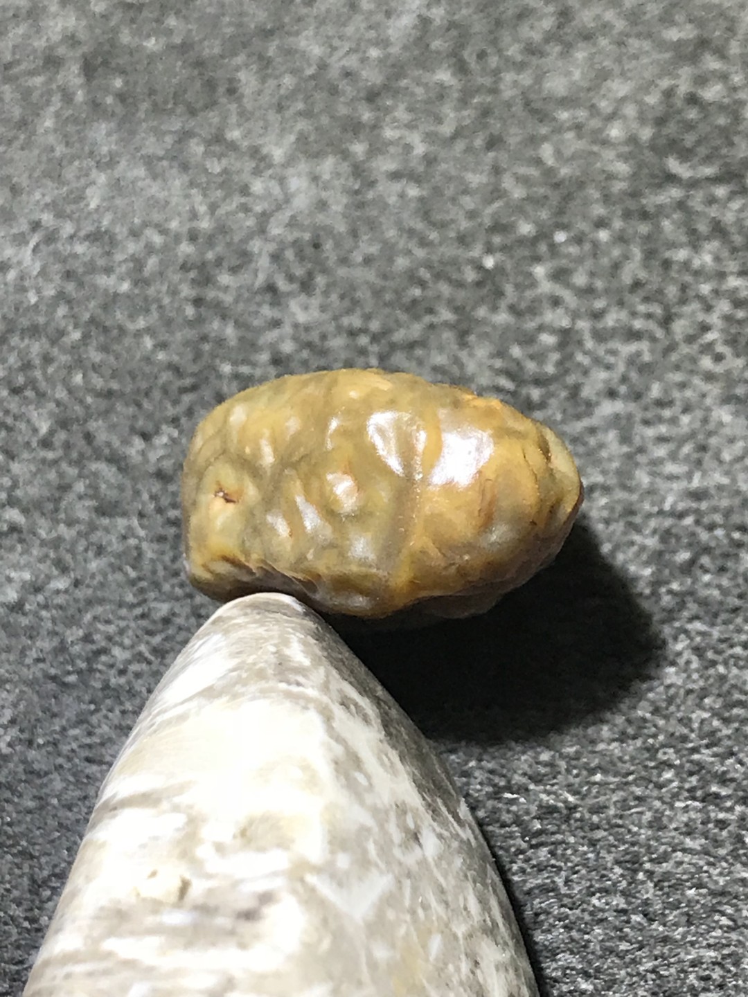 精美戈壁高玉化血脉筋脉石小原石一颗，