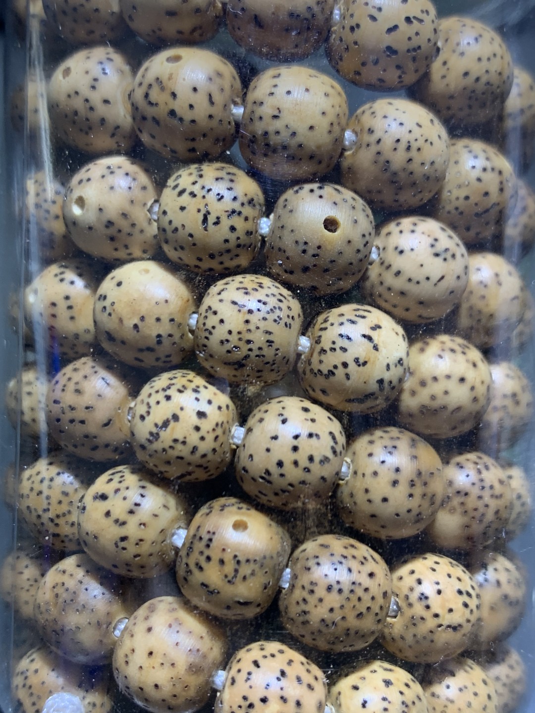 原生态9+8易拉罐星月菩提一条