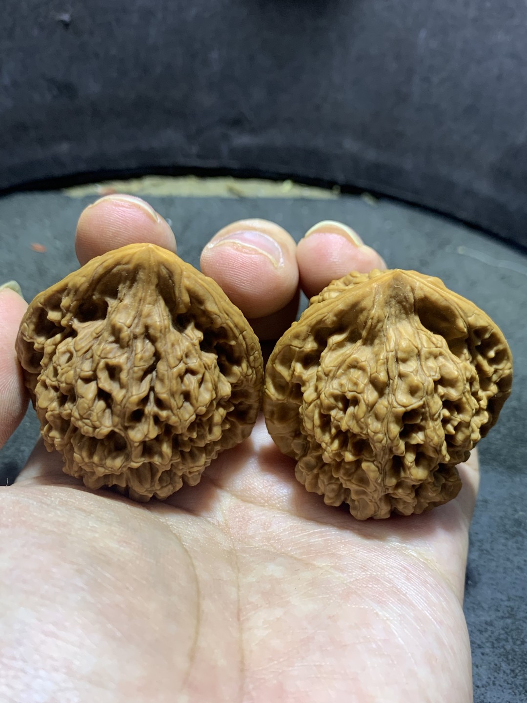 仅此一对，小众老树火苗型麒麟纹官帽文玩核桃一对，