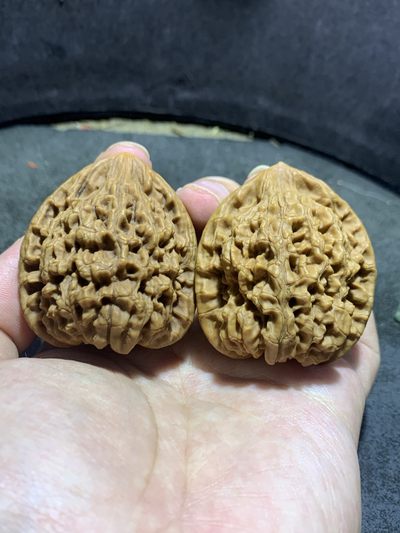 仅此一对，小众老树火苗型麒麟纹官帽文玩核桃一对， - 仅此一对，小众老树火苗型麒麟纹官帽文玩核桃一对，