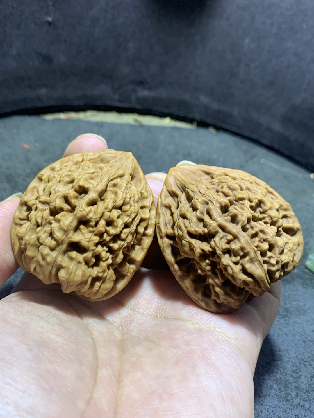 仅此一对，小众老树火苗型麒麟纹官帽文玩核桃一对，