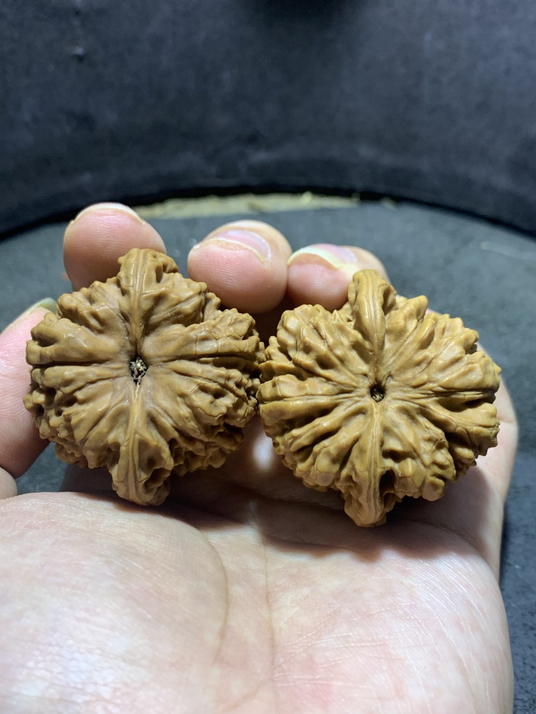 仅此一对，小众老树火苗型麒麟纹官帽文玩核桃一对，