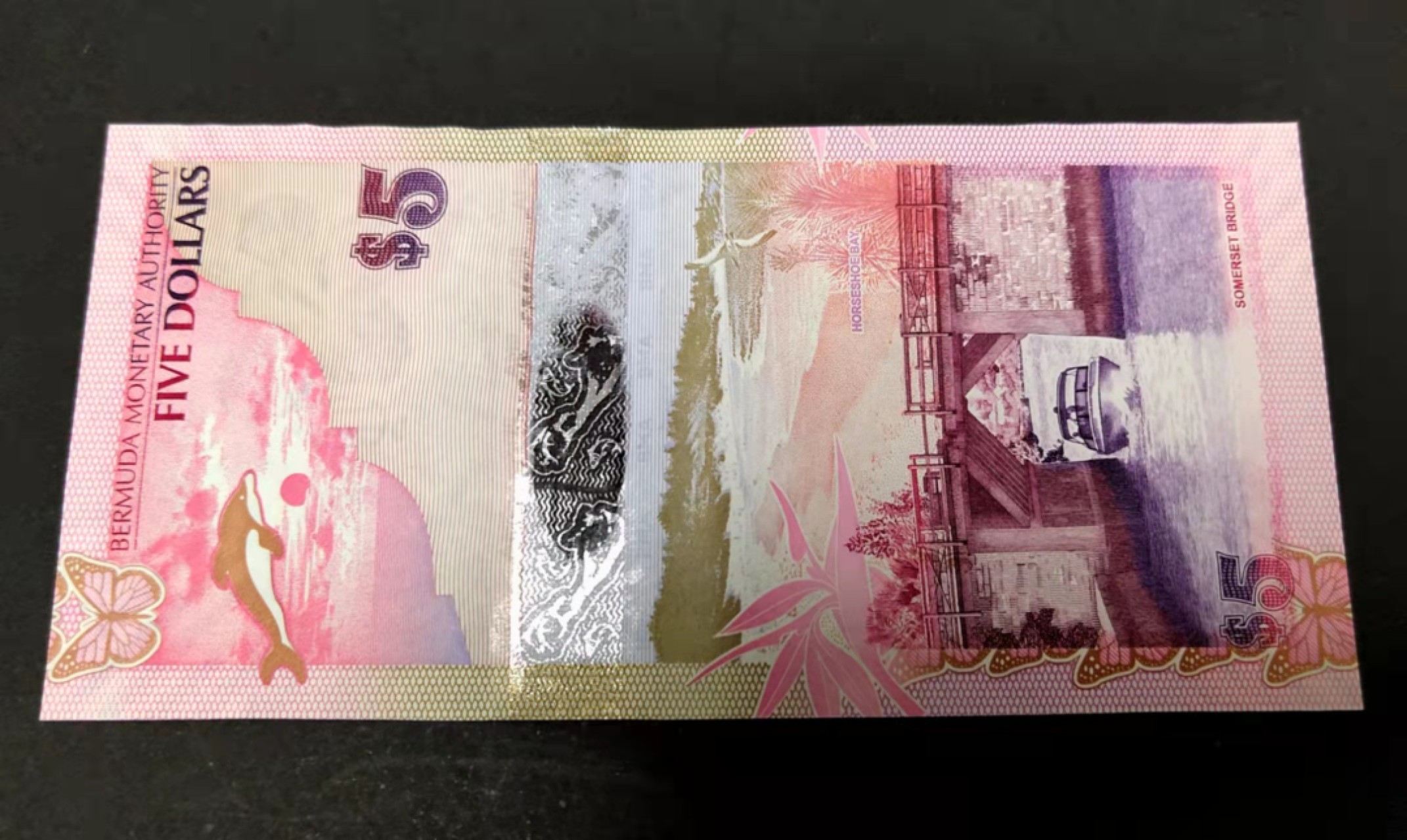 圣域骑士团 | 虎年新春上元节 专场 第二期（2022002期） 2009年 百慕大 5元 P58 全新unc 洋葱冠 正面蓝枪鱼