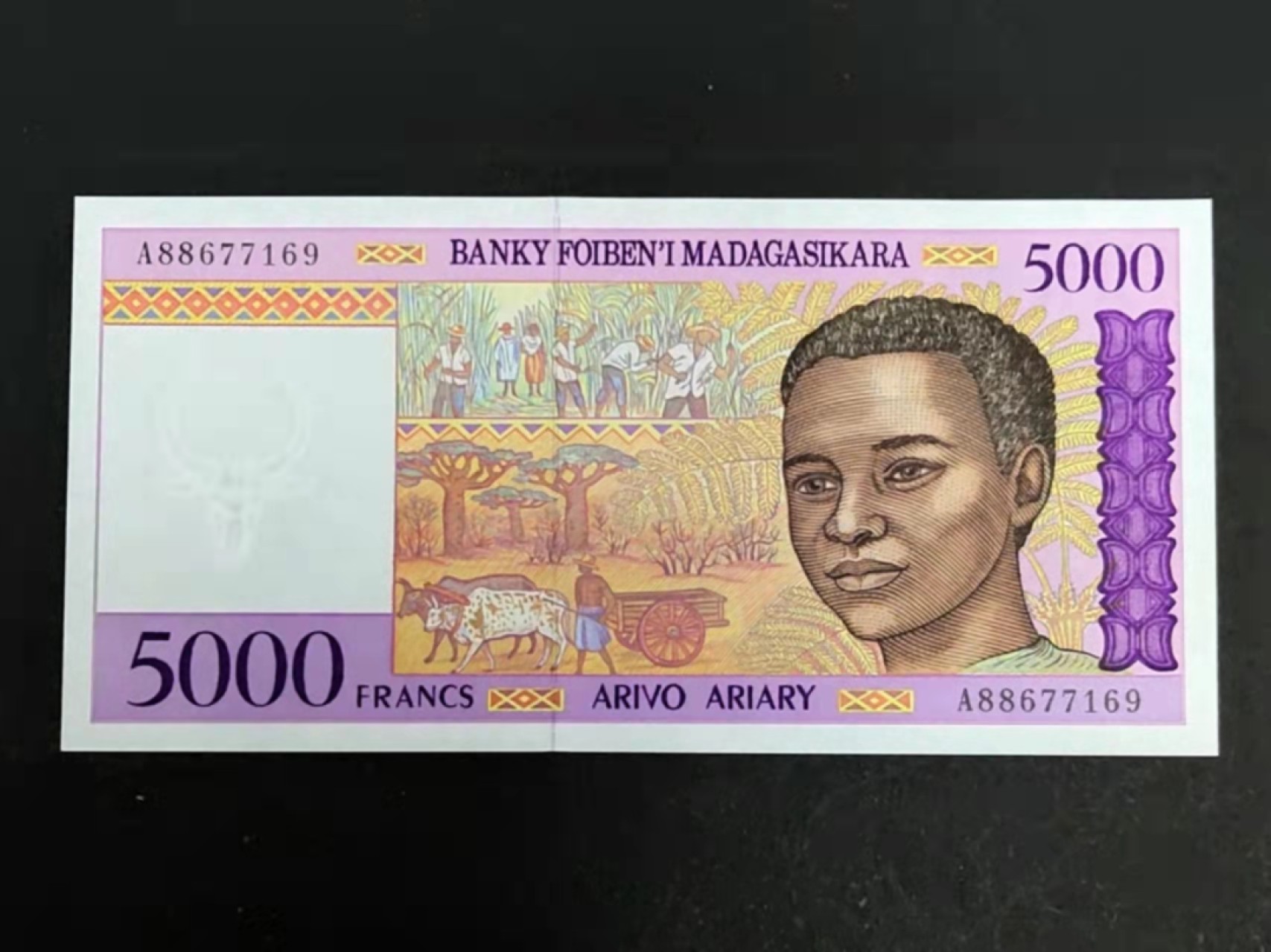 圣域骑士团 | 虎年新春上元节 专场 第二期（2022002期） 全新UNC 1995年 马达加斯加 5000法郎 A冠首冠 二版签名 P78b 靓号A88677169