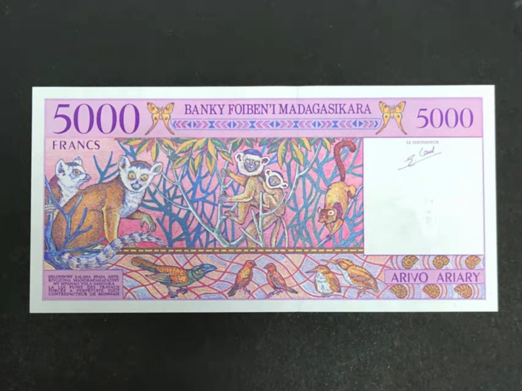 圣域骑士团 | 虎年新春上元节 专场 第二期（2022002期） 全新UNC 1995年 马达加斯加 5000法郎 A冠首冠 二版签名 P78b 靓号A88677169