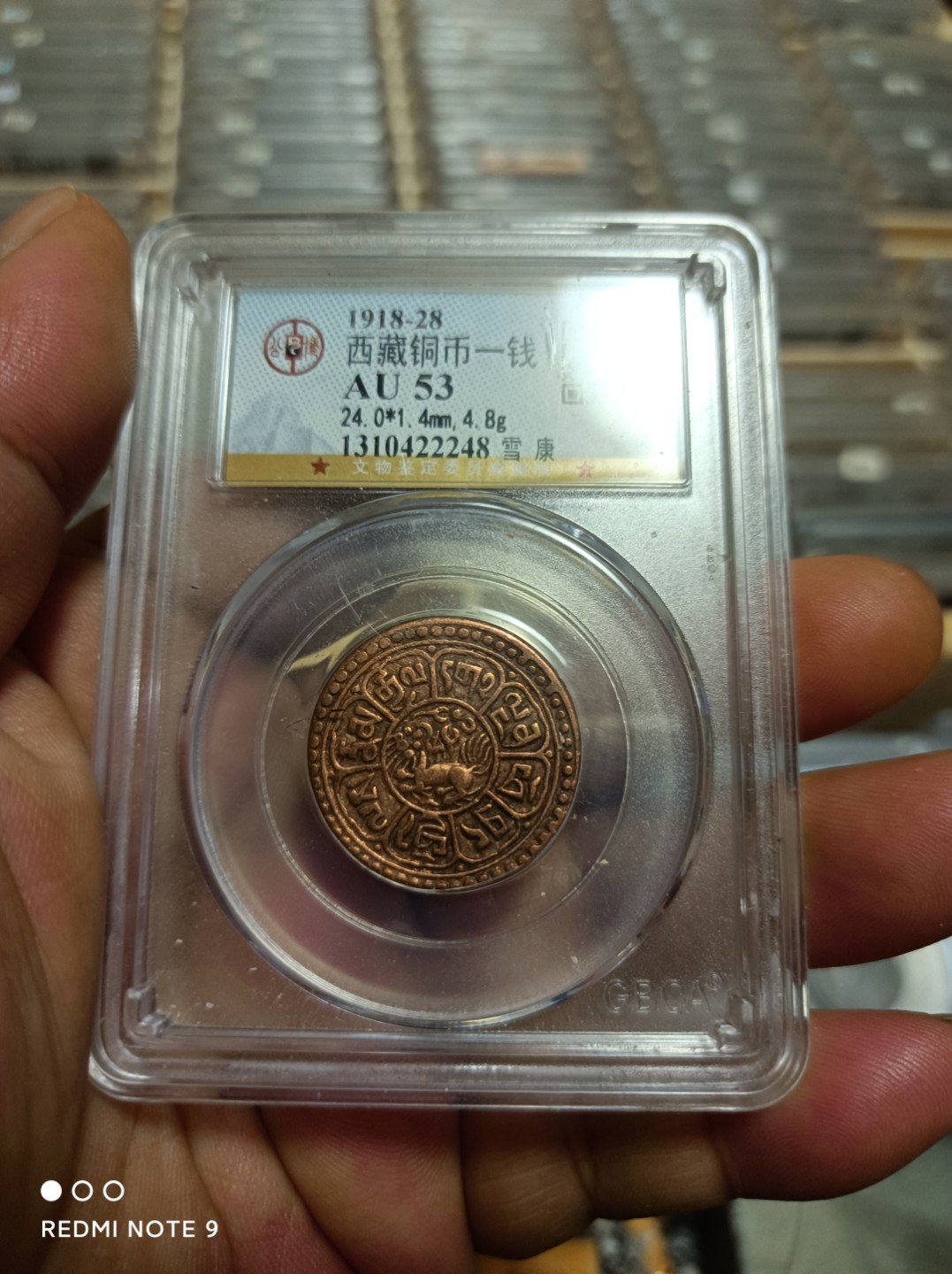 天海银元专场 每场一漏西藏铜币