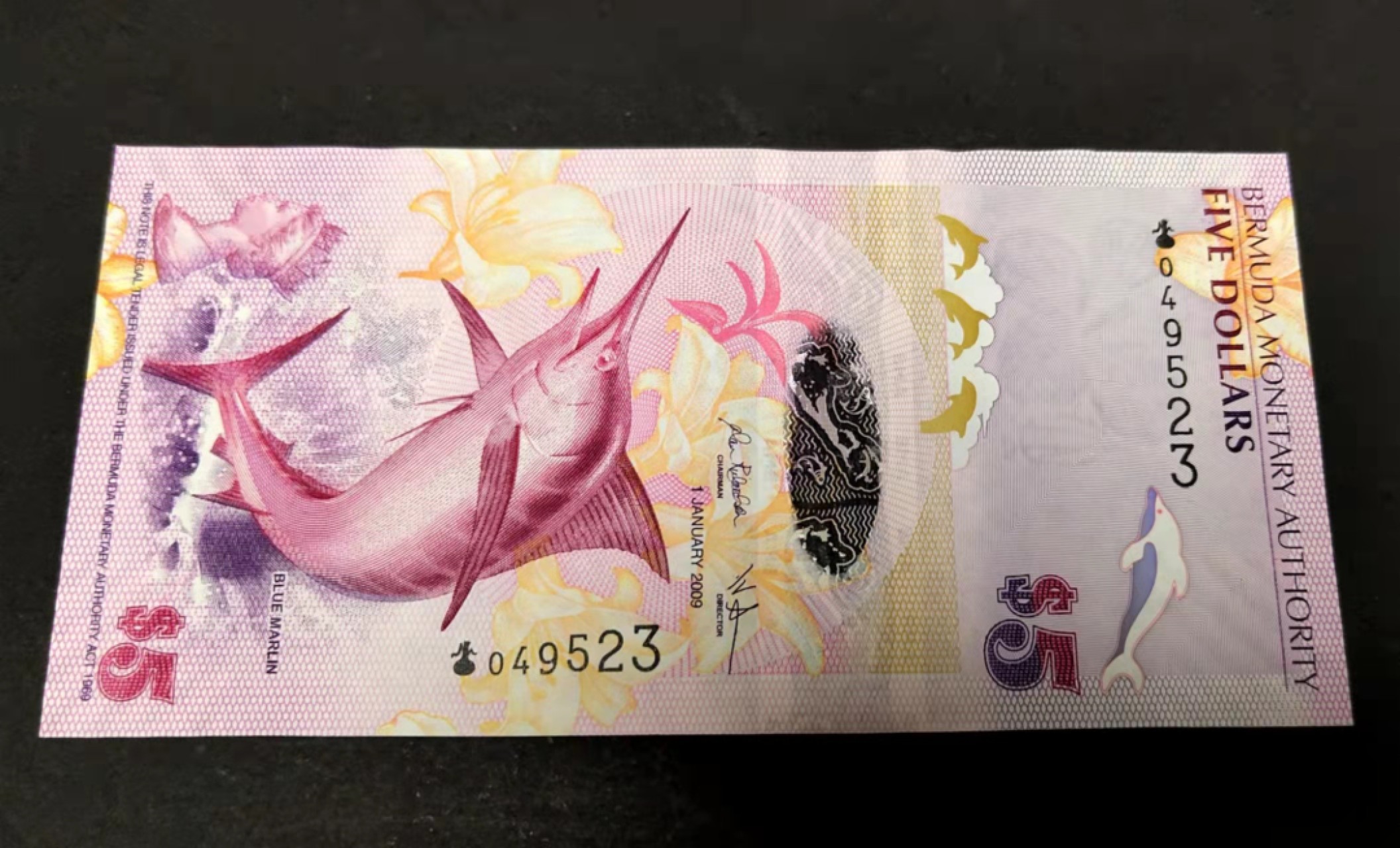 圣域骑士团 | 虎年新春上元节 专场 第二期（2022002期） 2009年 百慕大 5元 P58 全新unc 洋葱冠 正面蓝枪鱼