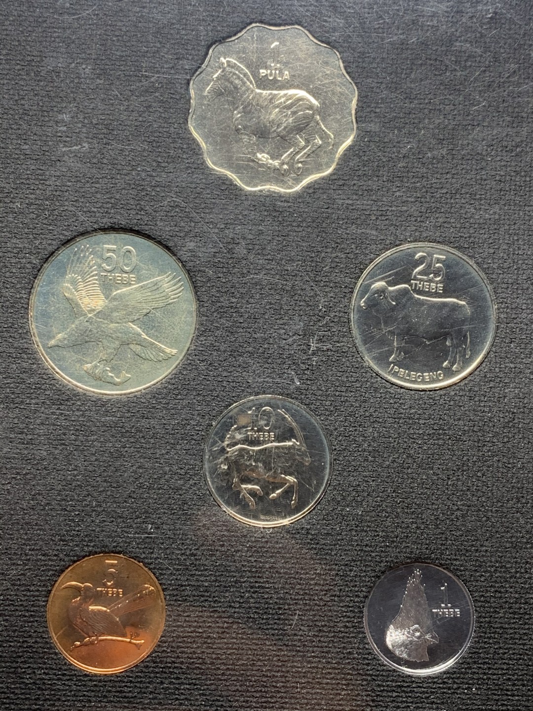 《竞宝斋》微拍-第32场-周日（全场顺丰包邮） 博兹瓦纳1976年精致纪念币6枚封装