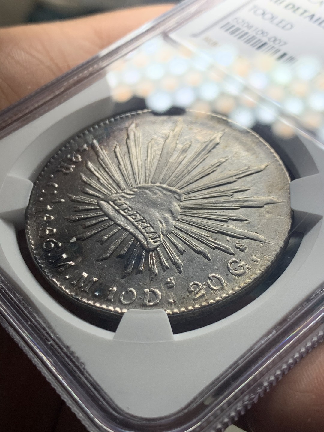 《竞宝斋》微拍-第32场-周日（全场顺丰包邮） NGC-AUD  1886 墨西哥鹰洋 8 里亚尔 深打底板 全羽状态