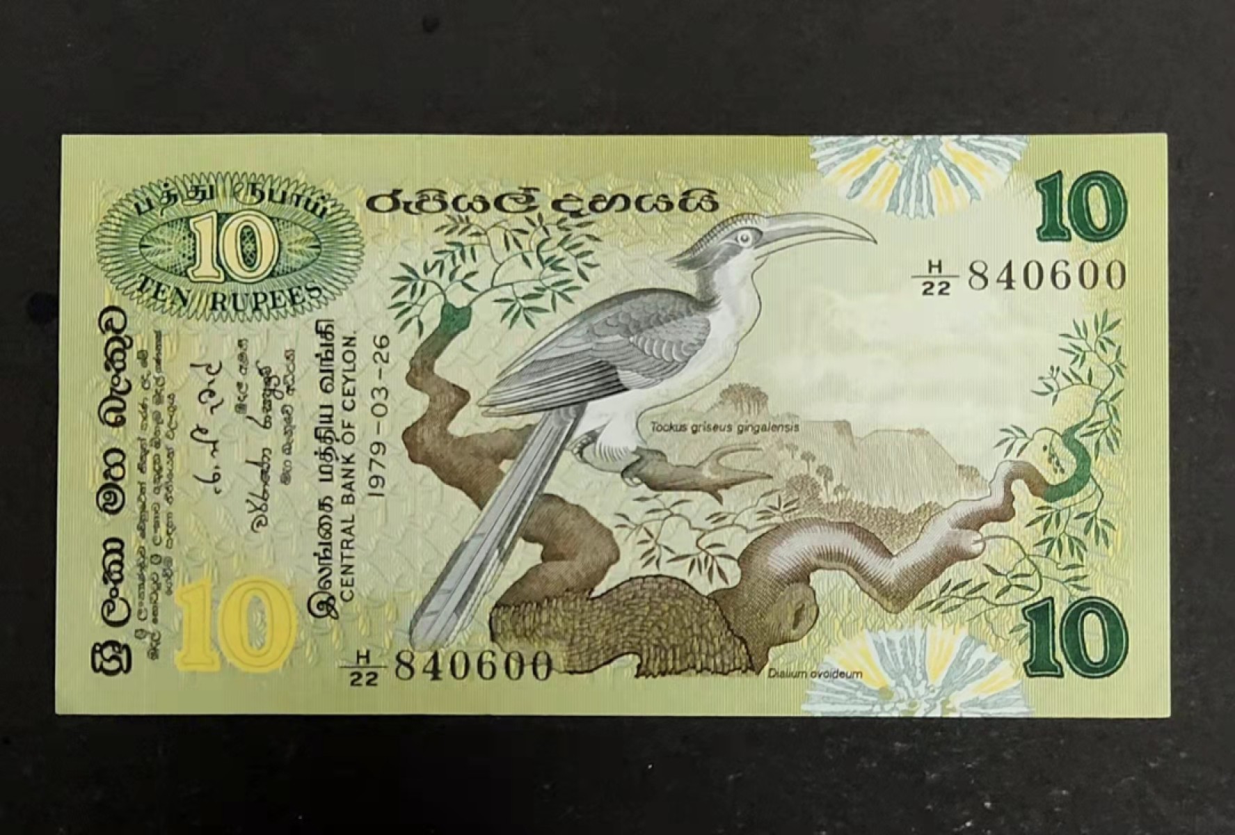 圣域骑士团 | 虎年新春上元节 专场 第二期（2022002期） 1979年 全新UNC 锡兰裸钞 10卢布 P85 荧光王 双尾00