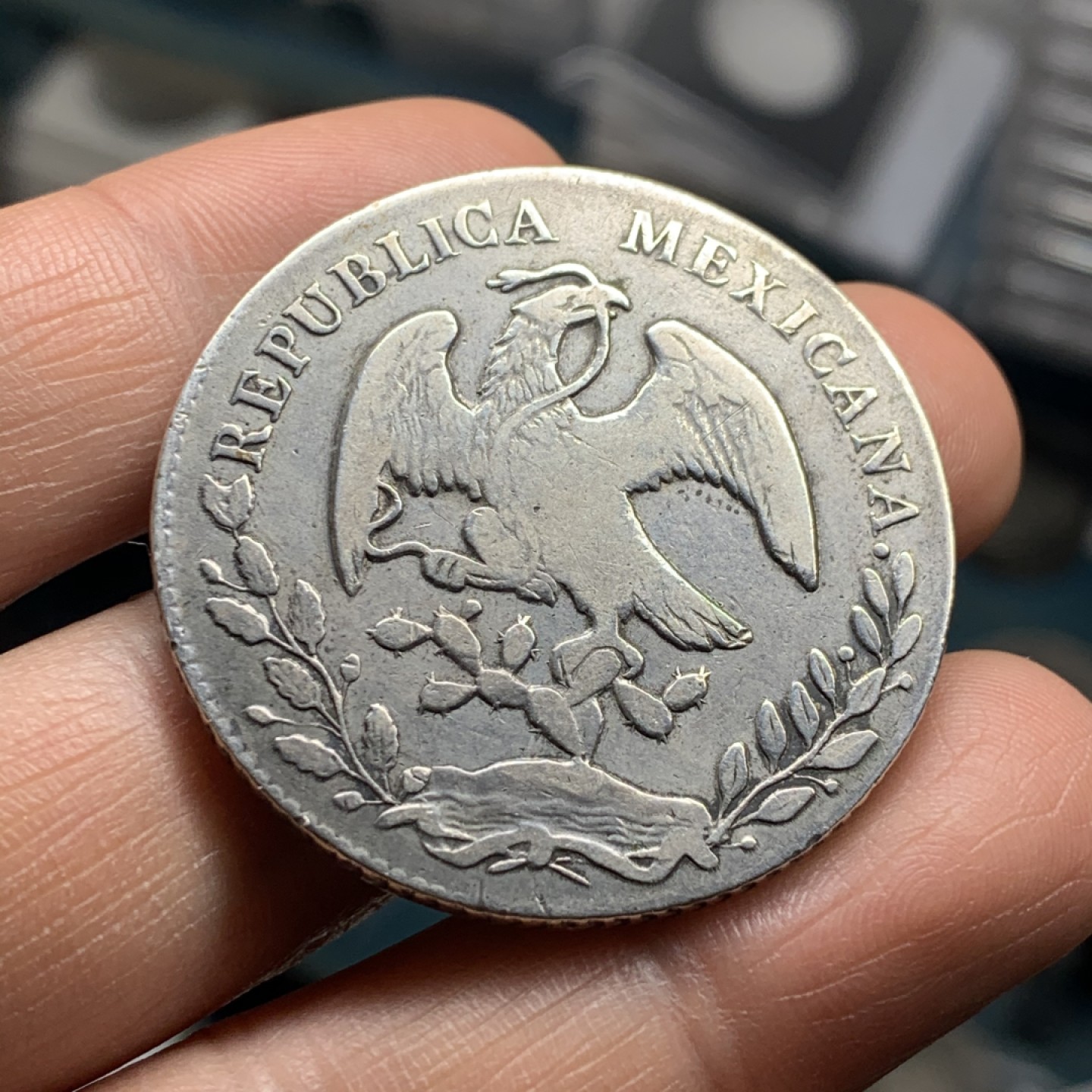 《竞宝斋》微拍-第32场-周日（全场顺丰包邮） 墨西哥 瓜达拉哈拉 1877中期鹰洋 该版发行量仅40W枚 宝蓝书定义为7级币