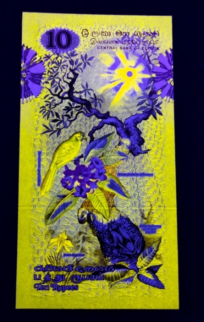 圣域骑士团 | 虎年新春上元节 专场 第二期（2022002期） 1979年 全新UNC 锡兰裸钞 10卢布 P85 荧光王 双尾00