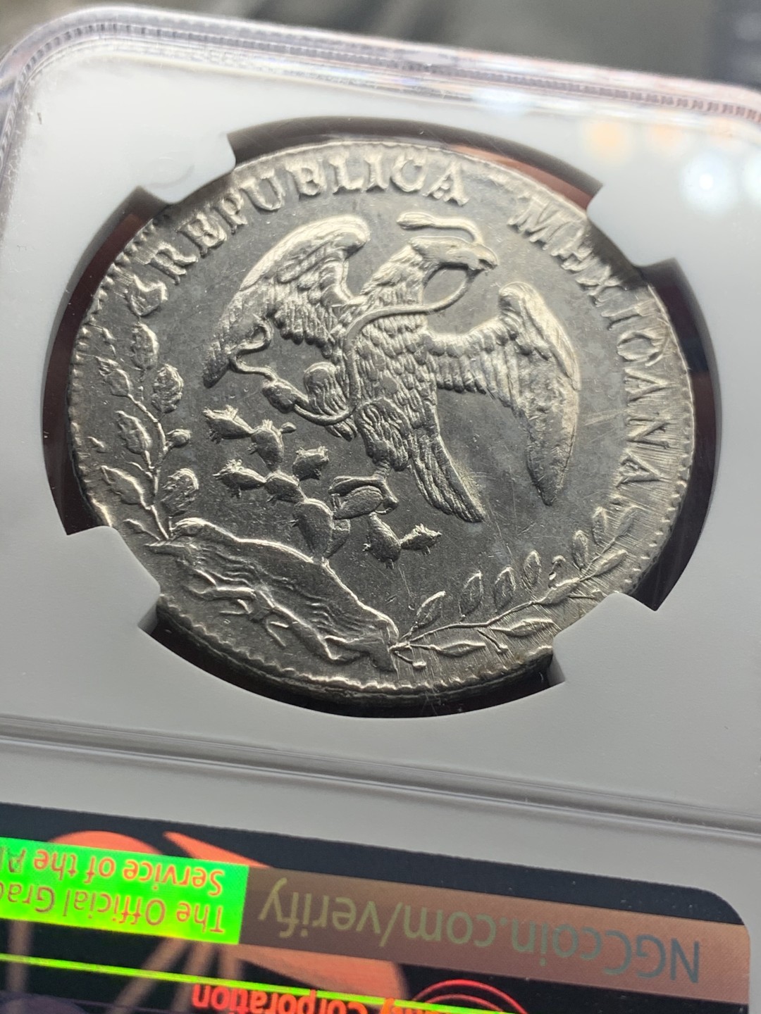 《竞宝斋》微拍-第32场-周日（全场顺丰包邮） NGC-AUD  1886 墨西哥鹰洋 8 里亚尔 深打底板 全羽状态