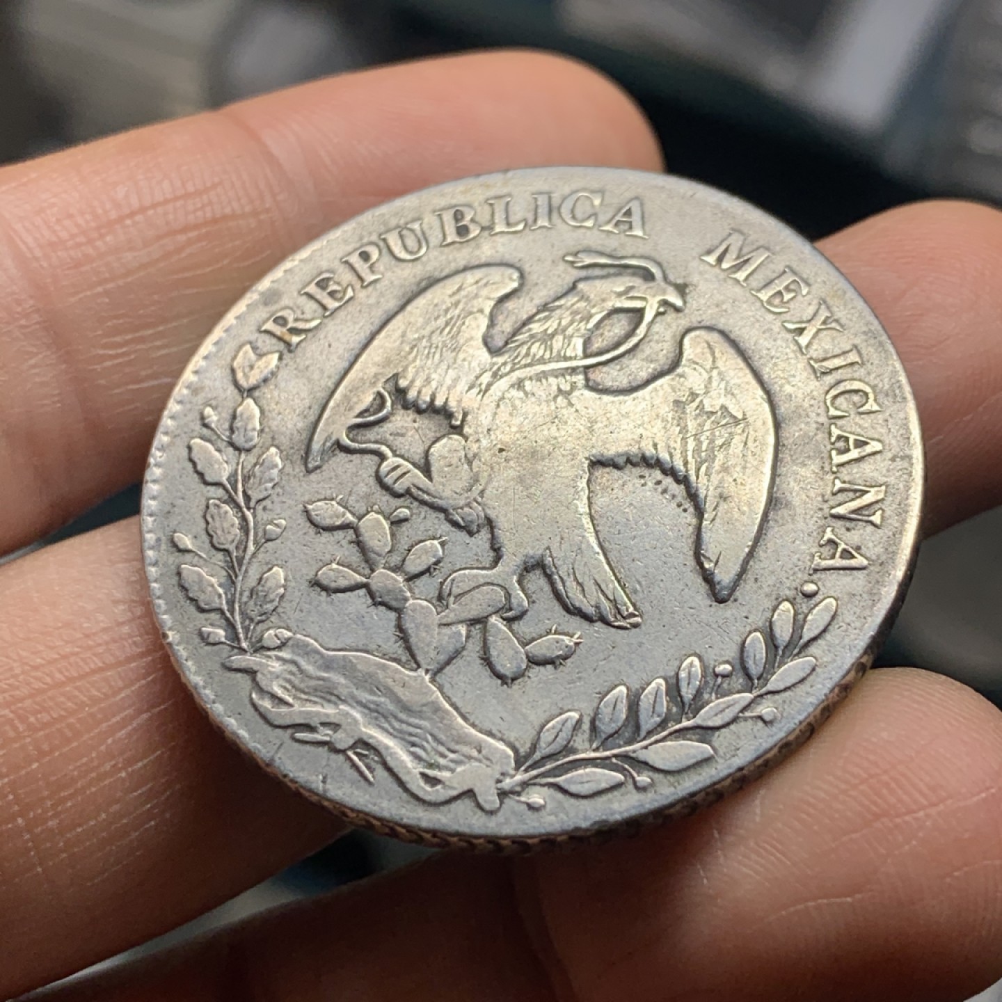 《竞宝斋》微拍-第32场-周日（全场顺丰包邮） 墨西哥 瓜达拉哈拉 1877中期鹰洋 该版发行量仅40W枚 宝蓝书定义为7级币