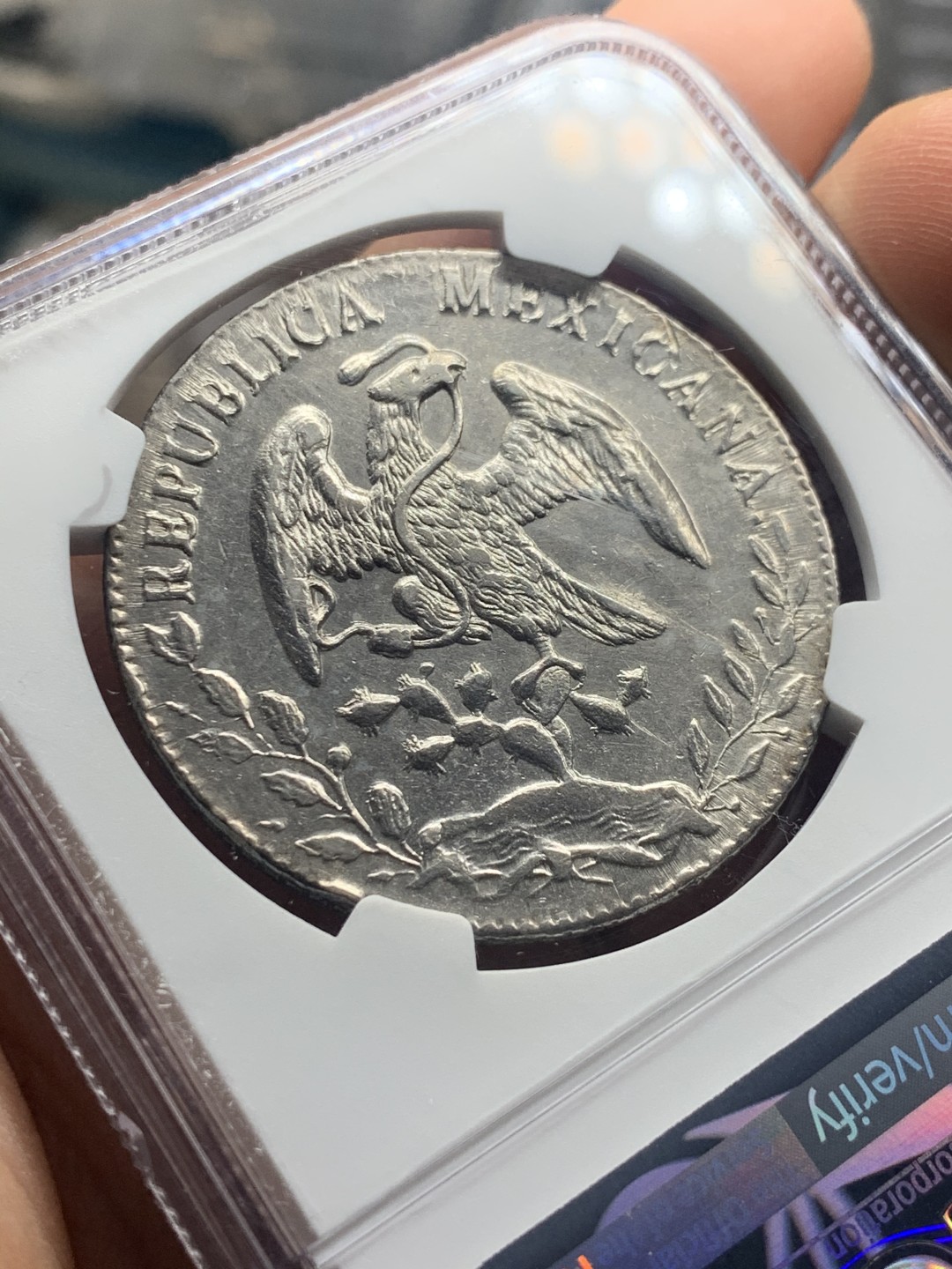 《竞宝斋》微拍-第32场-周日（全场顺丰包邮） NGC-AUD  1886 墨西哥鹰洋 8 里亚尔 深打底板 全羽状态