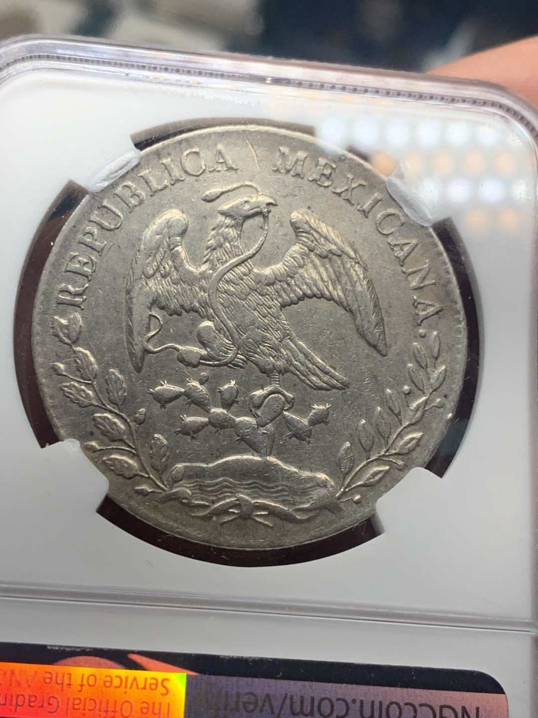 《竞宝斋》微拍-第32场-周日（全场顺丰包邮） NGC-AUD   墨西哥 1888年 8 里亚尔   奇瓦瓦厂  银币     原味带彩CA厂老鹰 吉祥年份