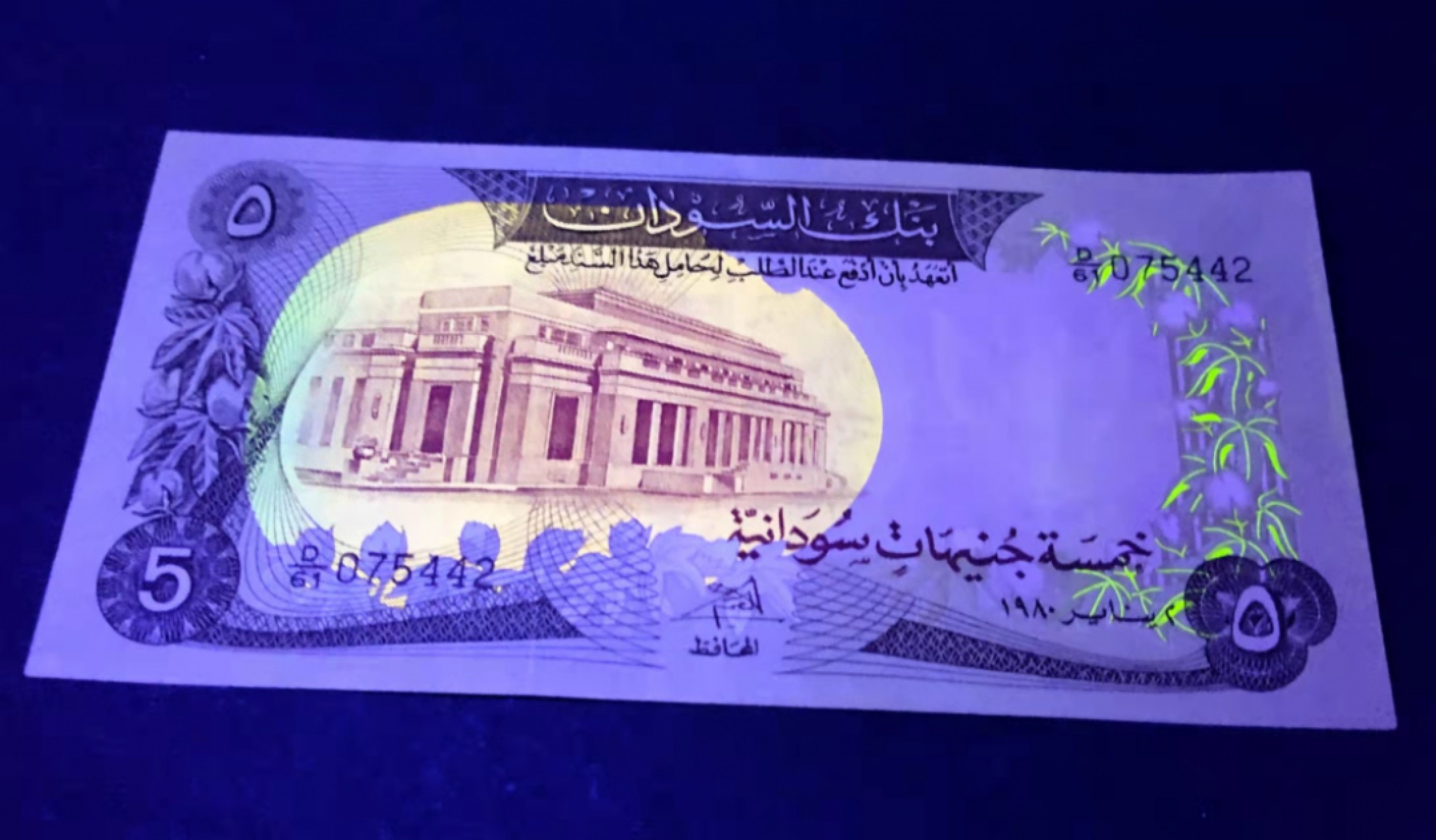 圣域骑士团 | 虎年新春上元节 专场 第二期（2022002期） 1970年 (北)苏丹 非全新  5苏丹镑  P14 背图~非洲动物世界~