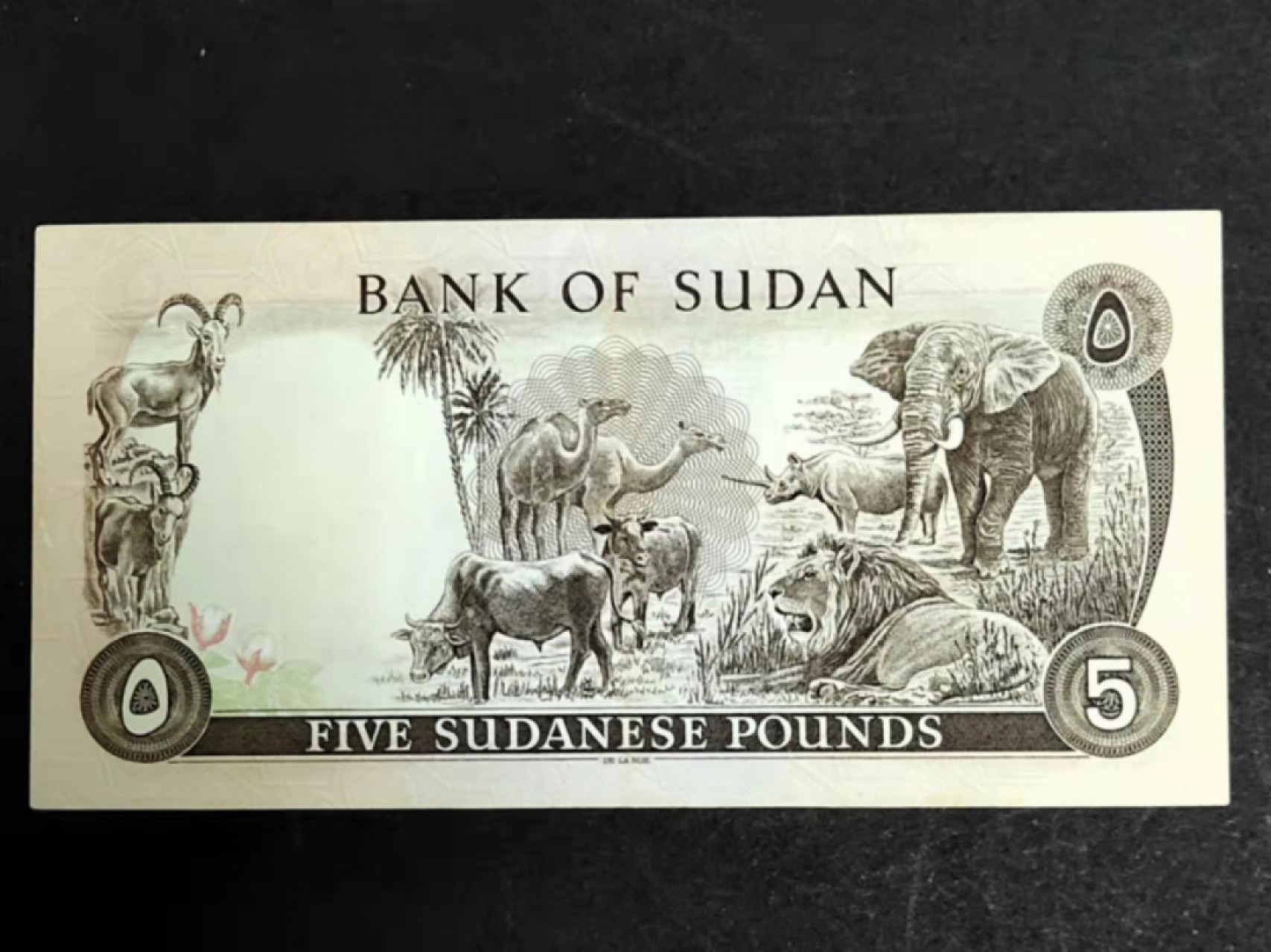 圣域骑士团 | 虎年新春上元节 专场 第二期（2022002期） 1970年 (北)苏丹 非全新  5苏丹镑  P14 背图~非洲动物世界~