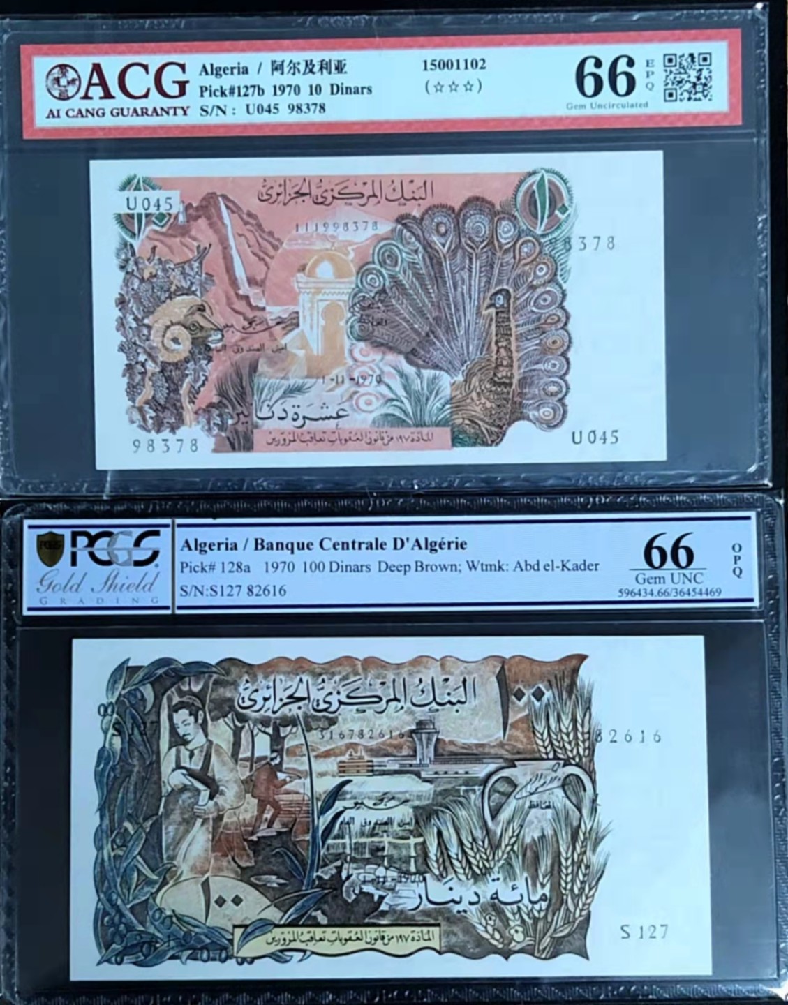 圣域骑士团 | 虎年新春上元节 专场 第二期（2022002期） 1970年阿尔及利亚 2张 10第纳尔 爱藏评级66（三星） P127b &  100第纳尔 PCGS66（金盾） P128a   法属系列，大票精美，A版绝品非常稀少