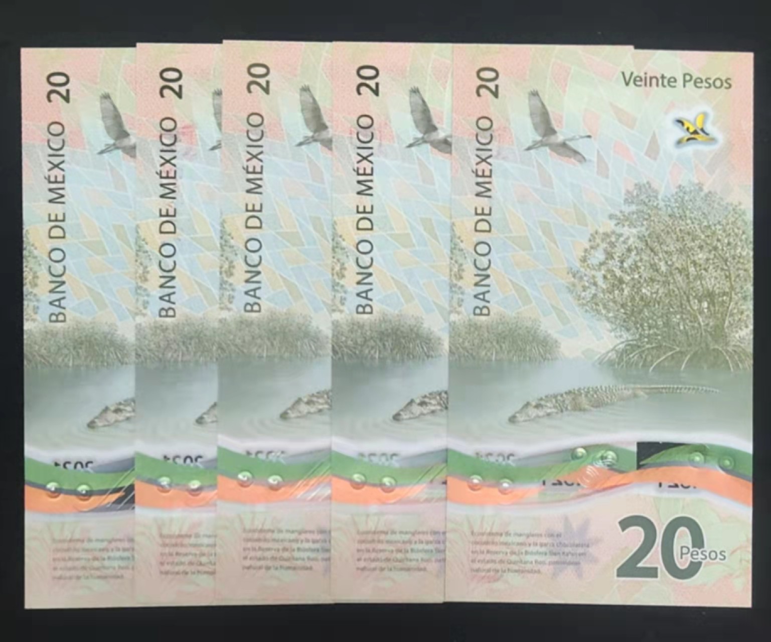 圣域骑士团 | 虎年新春上元节 专场 第二期（2022002期） 2021年 墨西哥 20比索塑料钞5张 5种签名 A冠首发全程无4，包含一张稀缺AA0冠