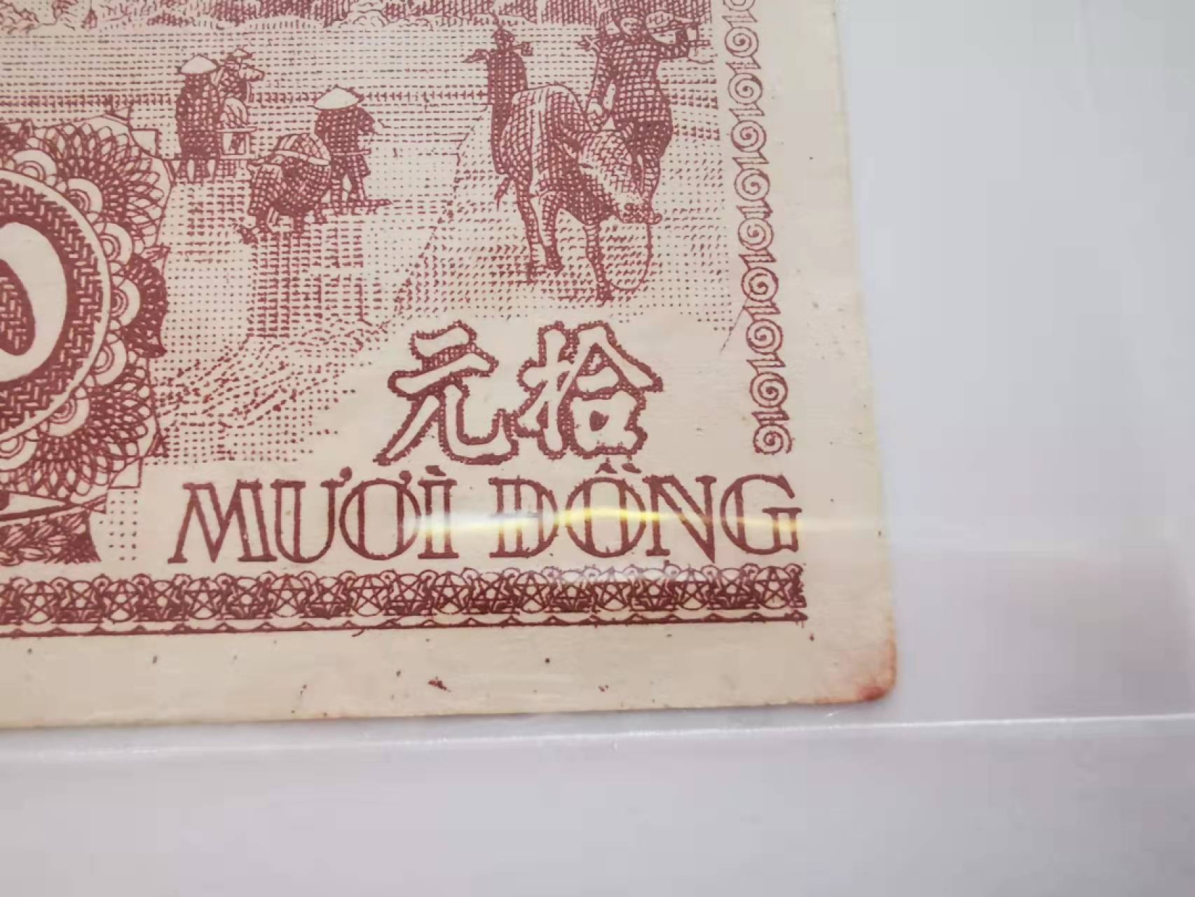 【鲸贝乐淘★叁拍包邮】千字文·第“矩步引领，俯仰廊庙”号拍卖