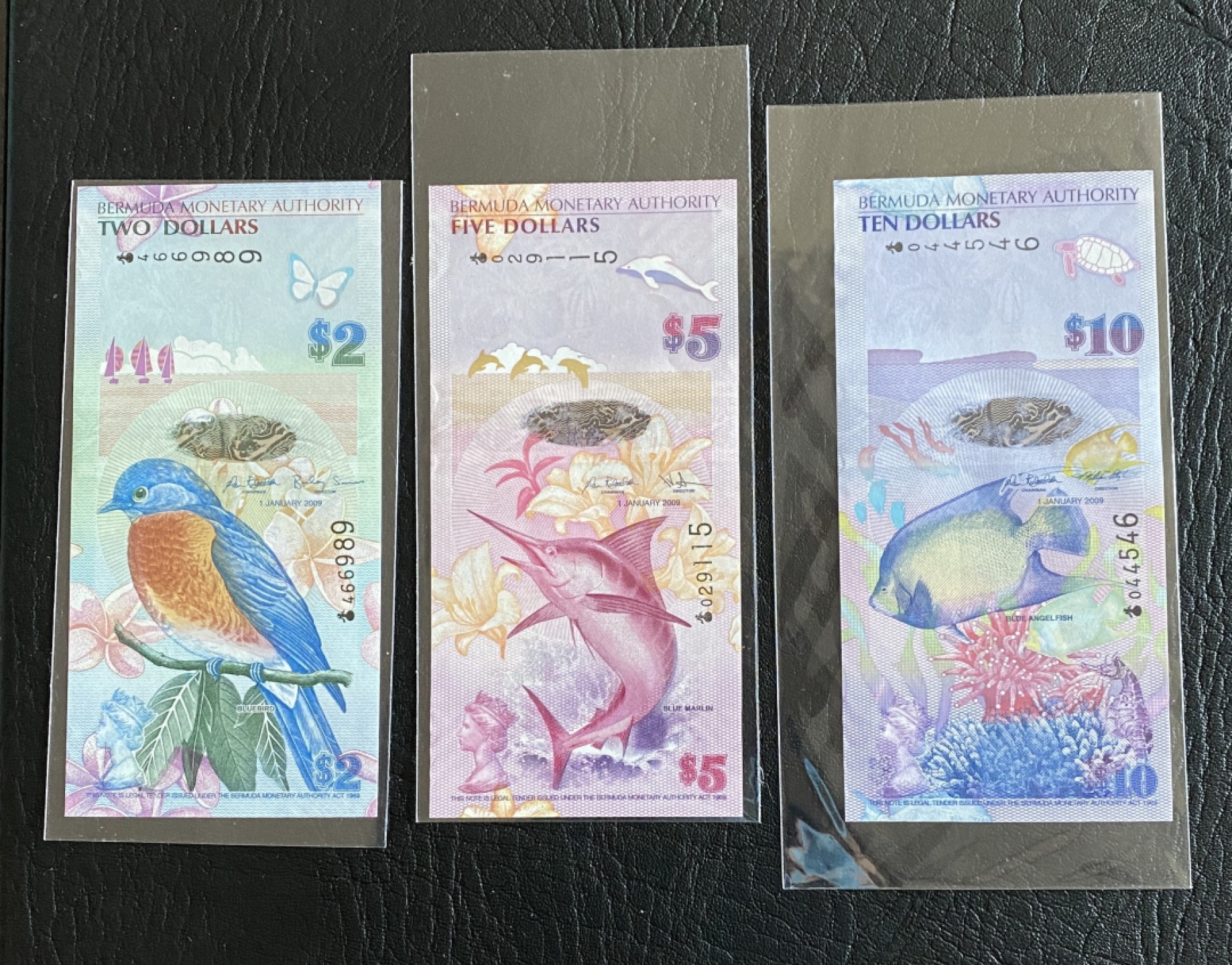 得物拍卖 Chase Auction  第2期 - -世界纸币精粹（二） 百慕大三张，含IBNS获奖最佳纸币！全新UNC！均为首发洋葱冠！
