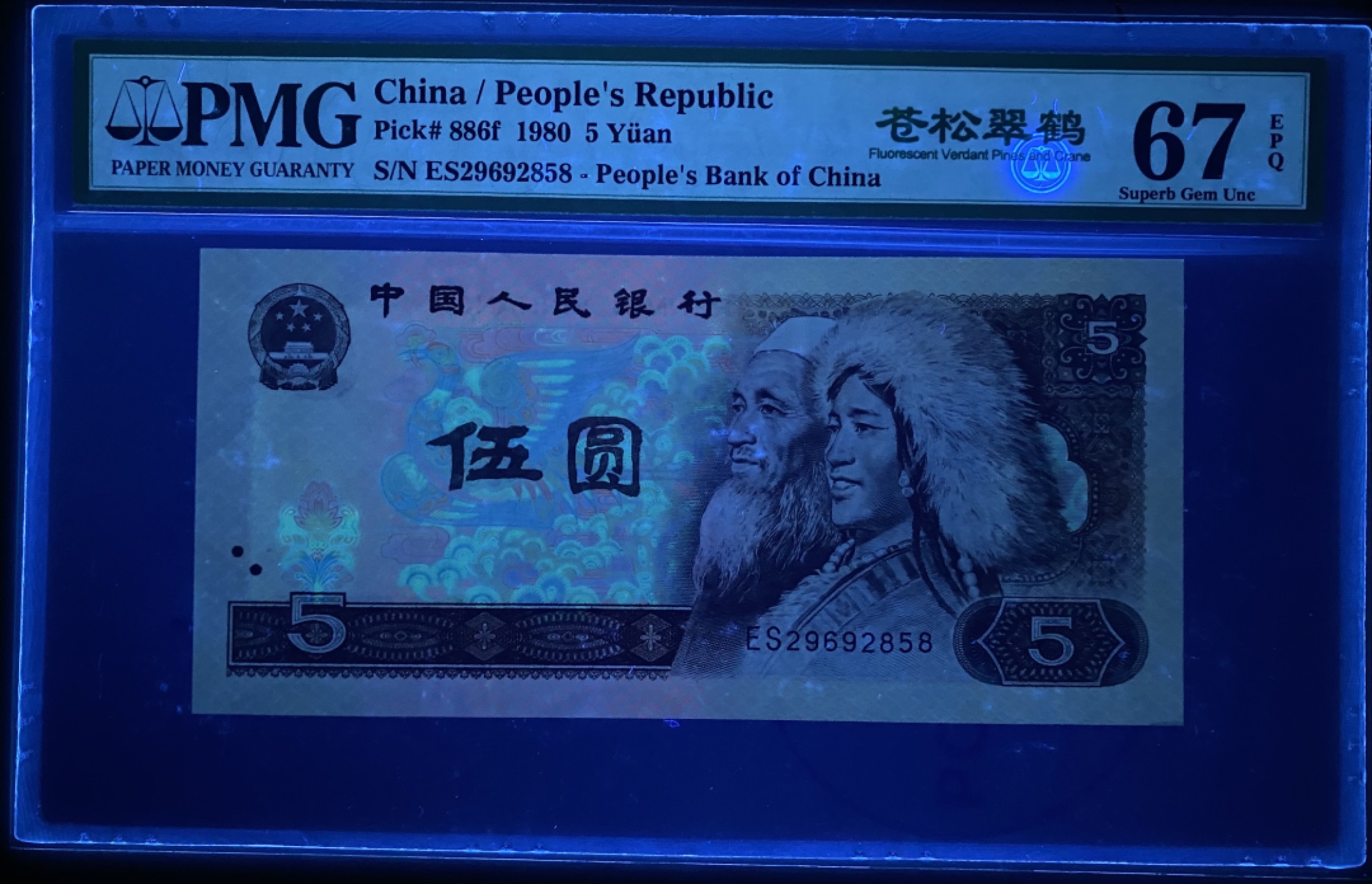 大黄蜂拍卖第49期 802苍松翠鹤ES29692858，67分