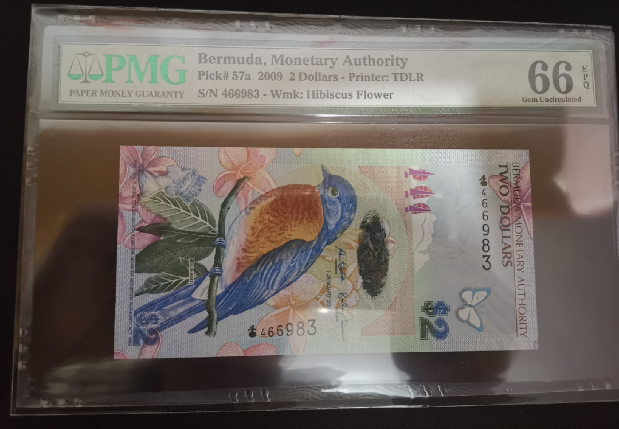 《张总收藏》49期——世界最佳纸币 百慕大2元首发洋葱冠 PMG66E 2009年 当年世界最佳纸币