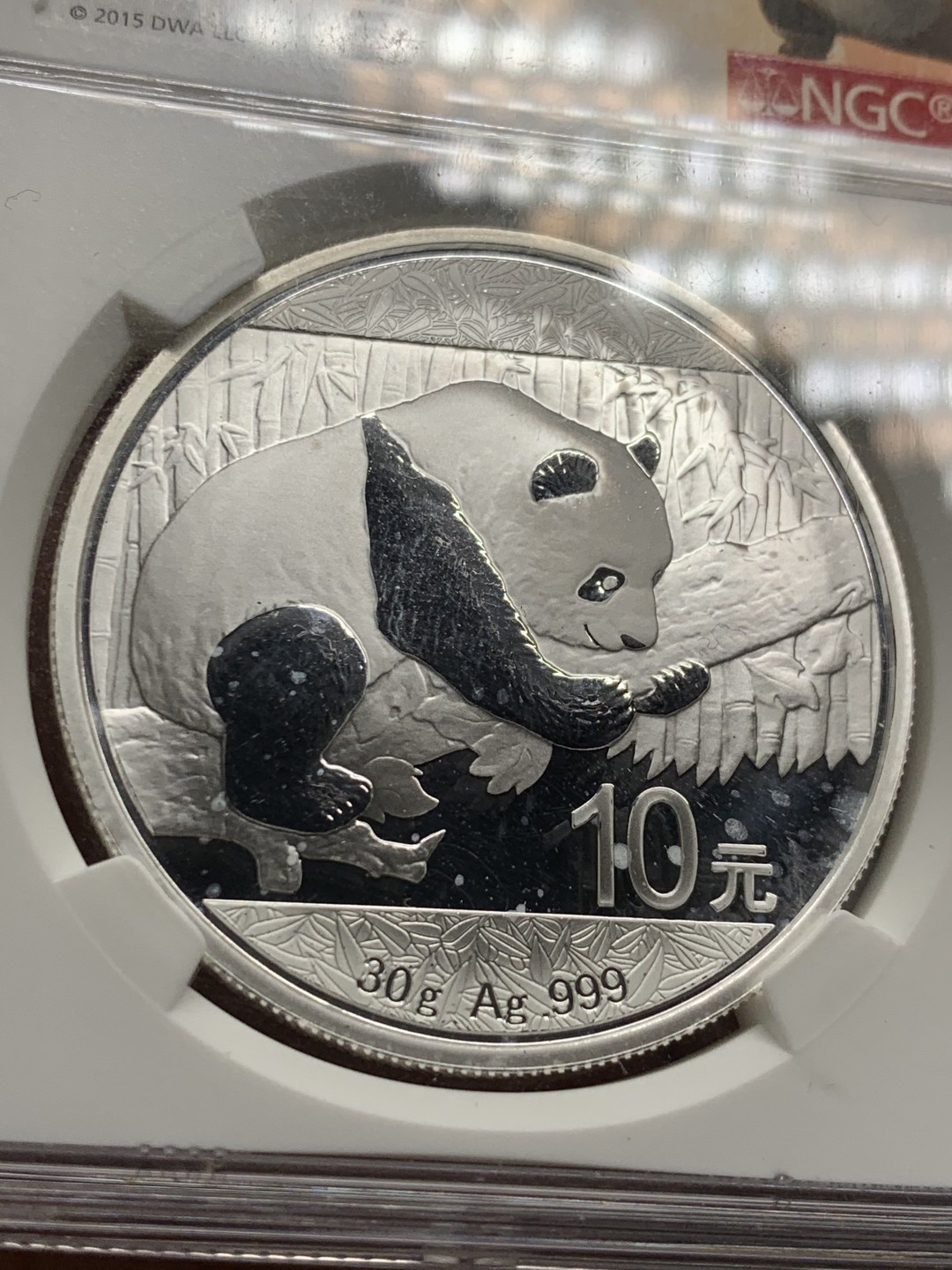 《竞宝斋》第34，35场-本周日，周一2场连拍（全场顺丰包邮） NGC-MS70 中国  2016年 熊猫银币 10元 首期功夫熊猫标签