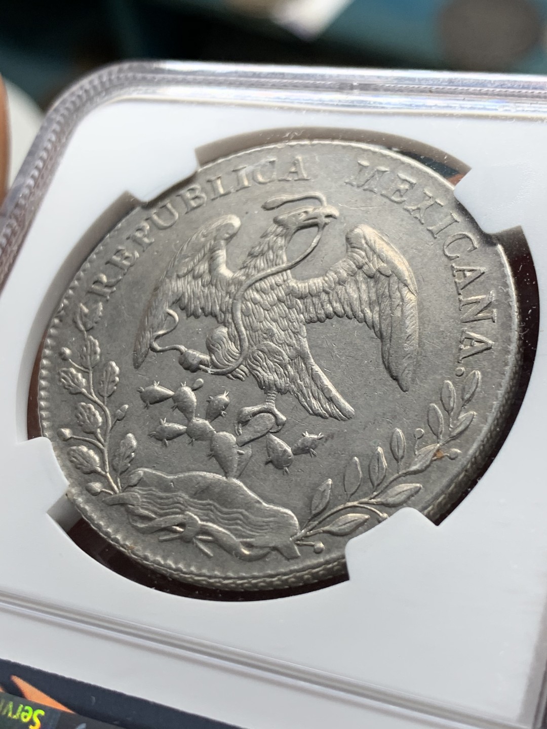 《竞宝斋》第34，35场-本周日，周一2场连拍（全场顺丰包邮） NGC-AUD 1897 墨西哥鹰洋 8 里亚尔 银币 瓜纳华托厂  原味淡光 