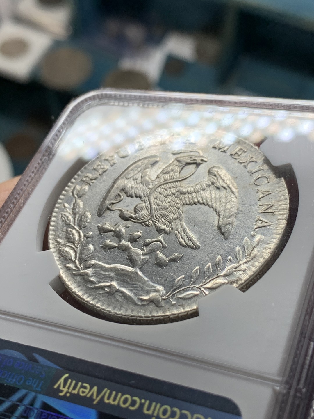 《竞宝斋》第34，35场-本周日，周一2场连拍（全场顺丰包邮） NGC-UNCD  1886 墨西哥鹰洋 8 里亚尔 奇瓦瓦厂   转光