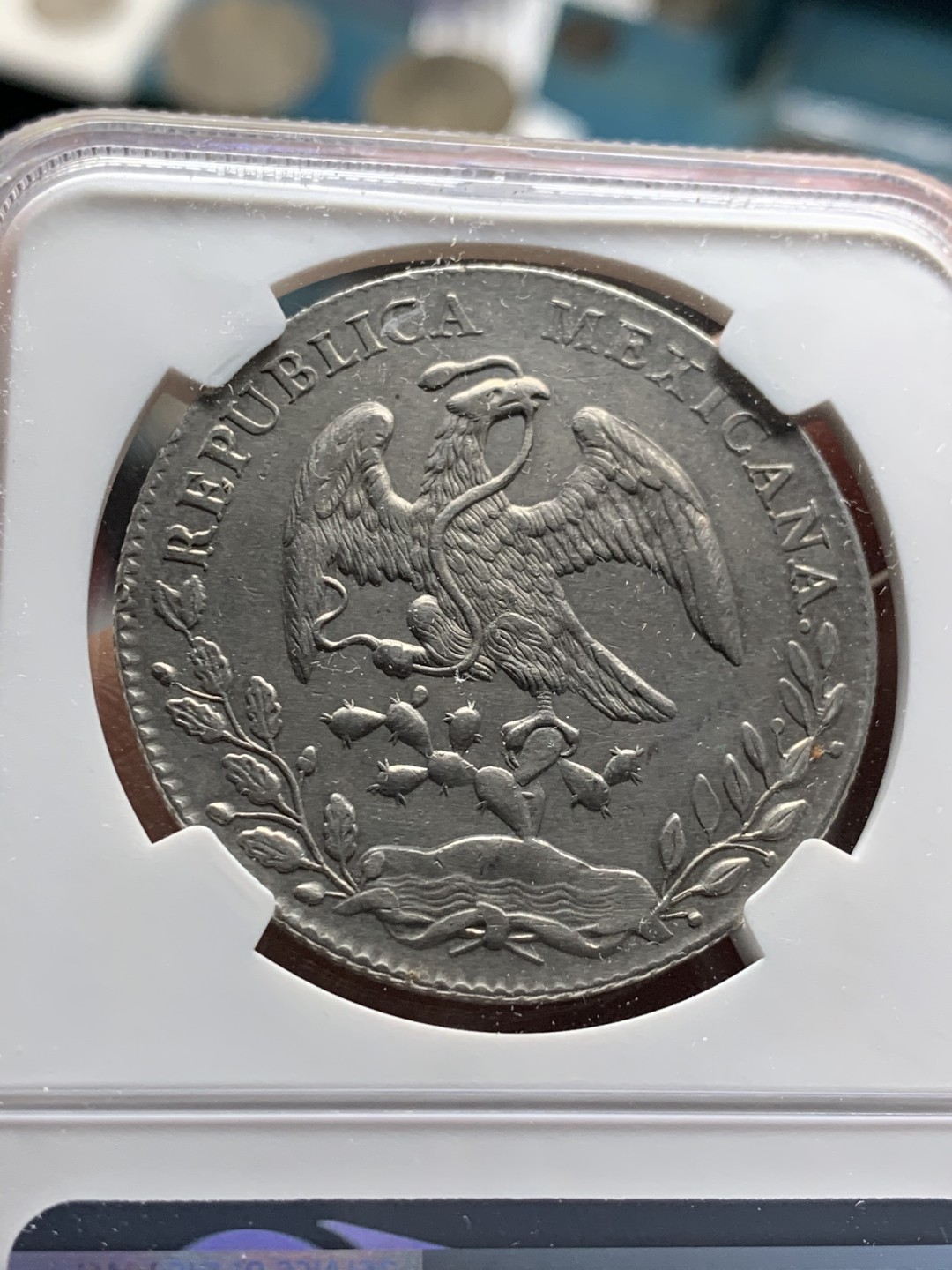 《竞宝斋》第34，35场-本周日，周一2场连拍（全场顺丰包邮） NGC-AUD 1897 墨西哥鹰洋 8 里亚尔 银币 瓜纳华托厂  原味淡光 