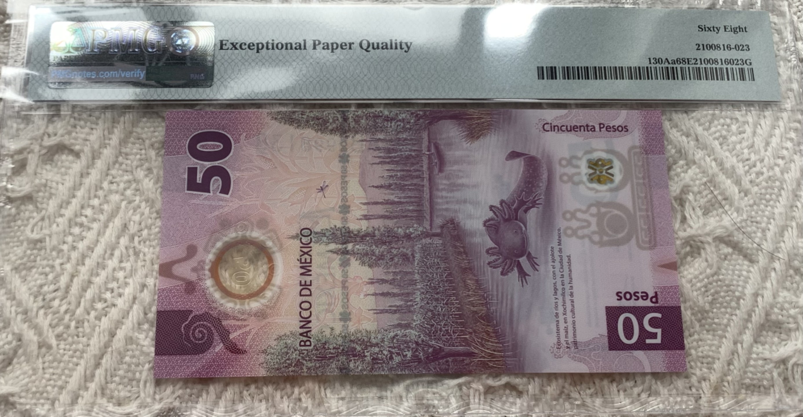 圣域骑士团 | CICE币展&易卜生专场 春天来了 ‼️第三期（2022003） 【高分】2021年墨西哥🇲🇽50比索 签名① PMG68分全程无4/7靓号