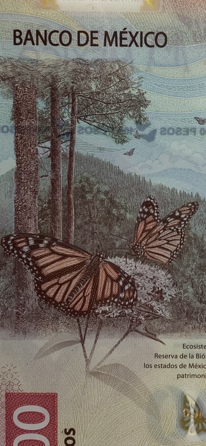 圣域骑士团 | CICE币展&易卜生专场 春天来了 ‼️第三期（2022003） 【AA冠】 2020年 墨西哥 100比索 最佳纸币 全新UNC