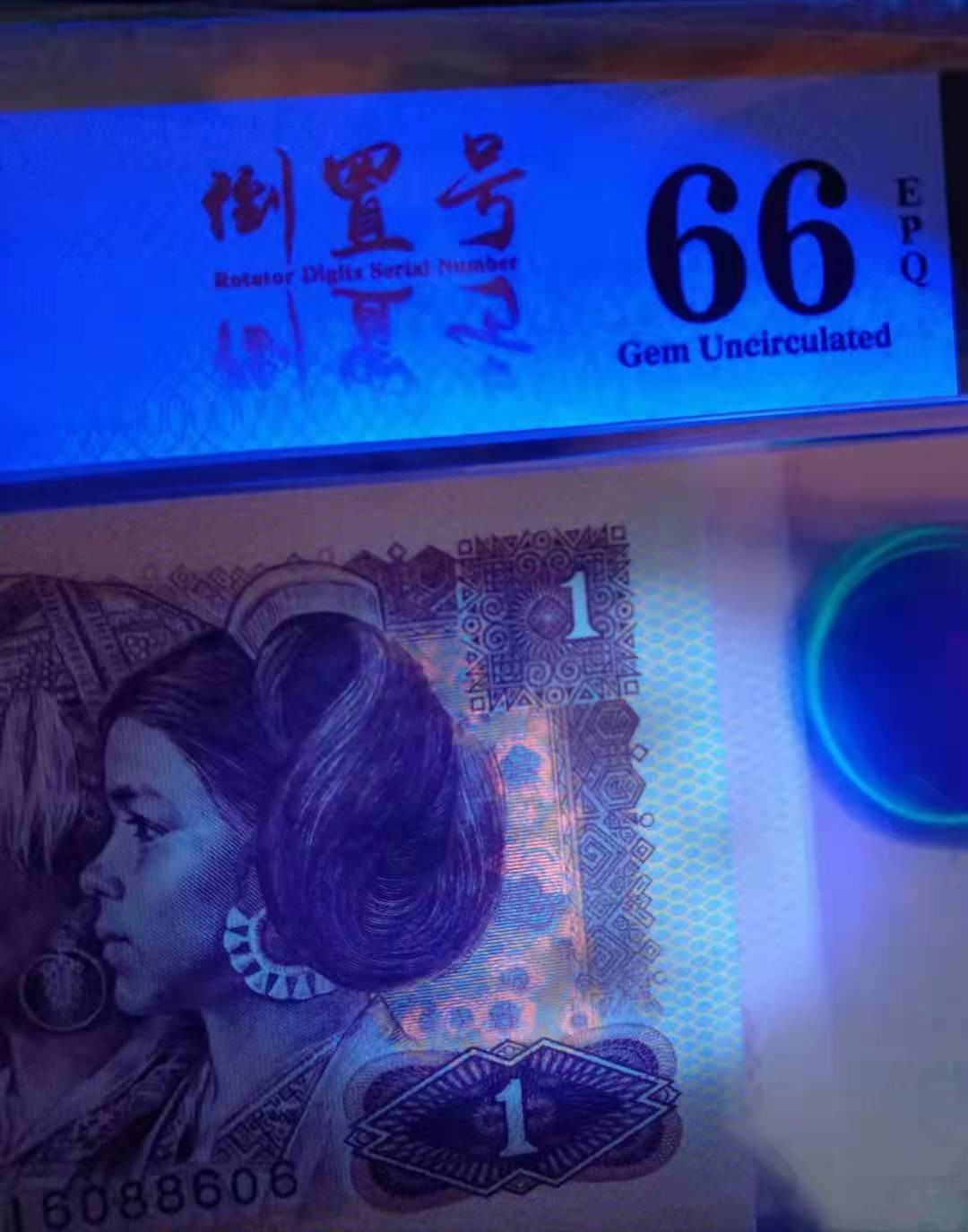 【华誉王者】1925期拍卖 801倒置号三张，红金龙大网格，绝品无斑，其中两张背面带红点油墨，小趣味币。