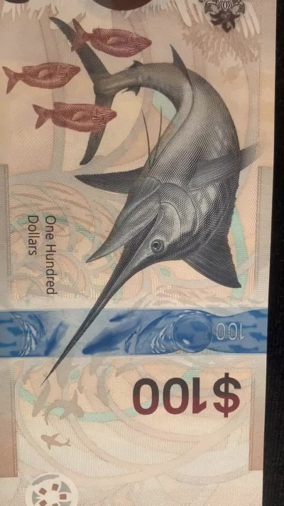 圣域骑士团 | CICE币展&易卜生专场 春天来了 ‼️第三期（2022003） 【A冠最高面值】2021年 巴哈马 100元 PMG66 P82a 背图蓝旗鱼