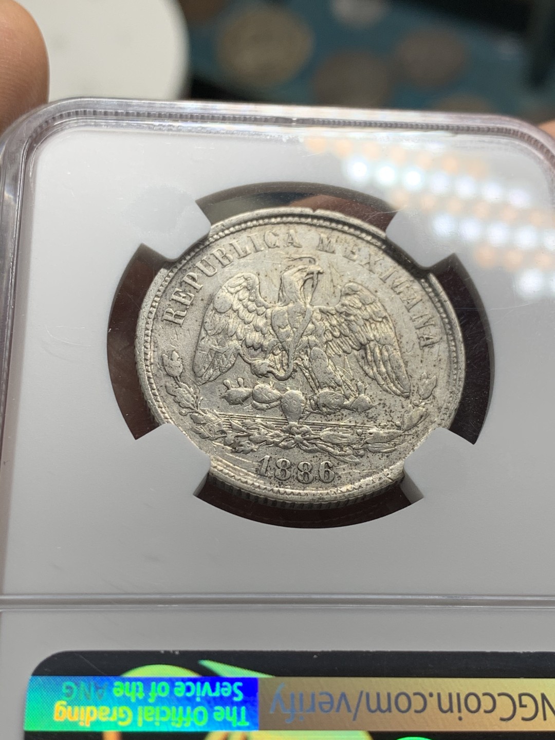 《竞宝斋》第36场-本周日 （全场顺丰包邮） NGC-AUD   墨西哥天平鹰洋半圆  1886年  墨西哥城造币厂 银币原味