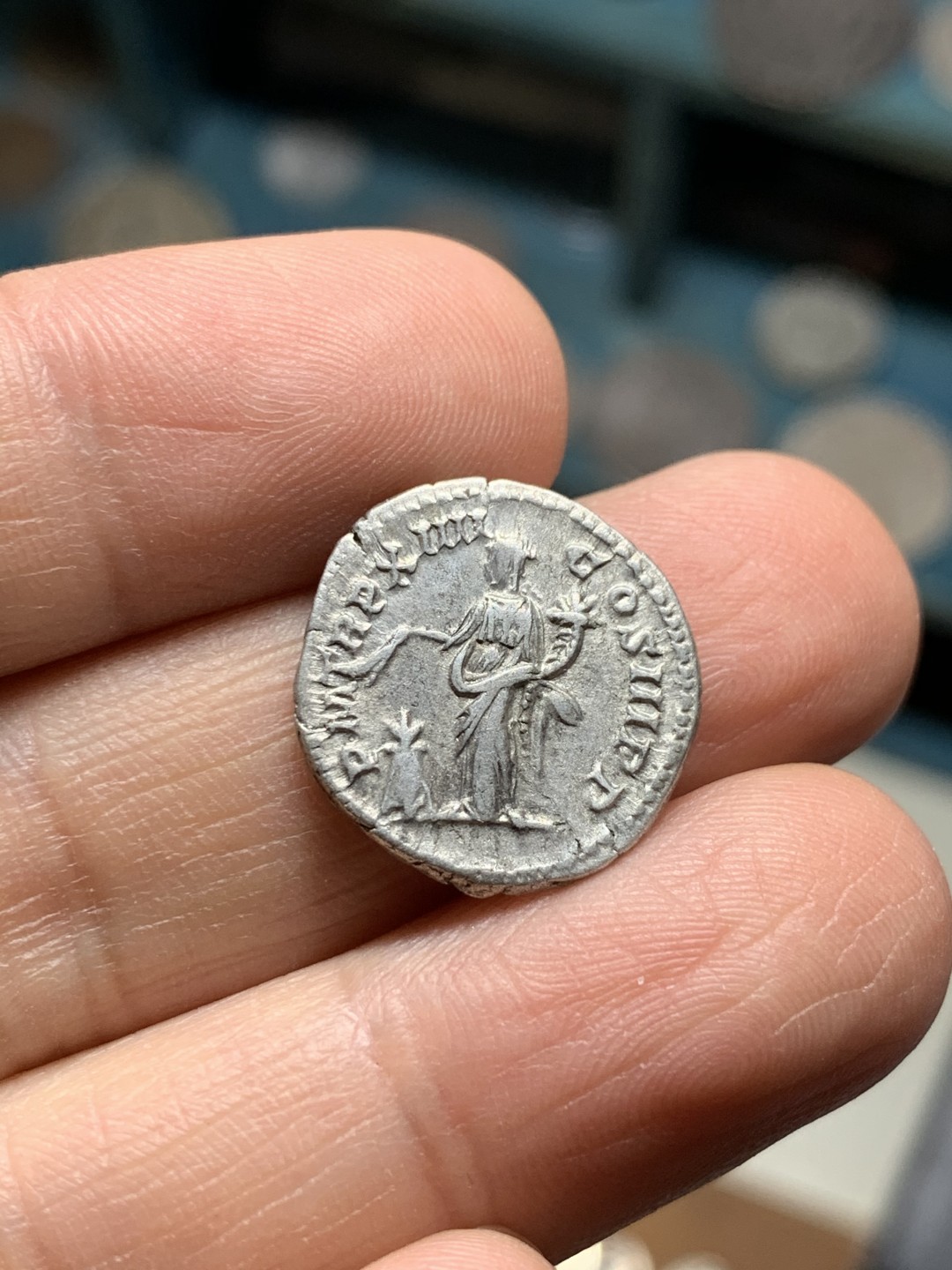 《竞宝斋》第36场-本周日 （全场顺丰包邮） 古罗马帝国塞维鲁1第纳尔银币重3克