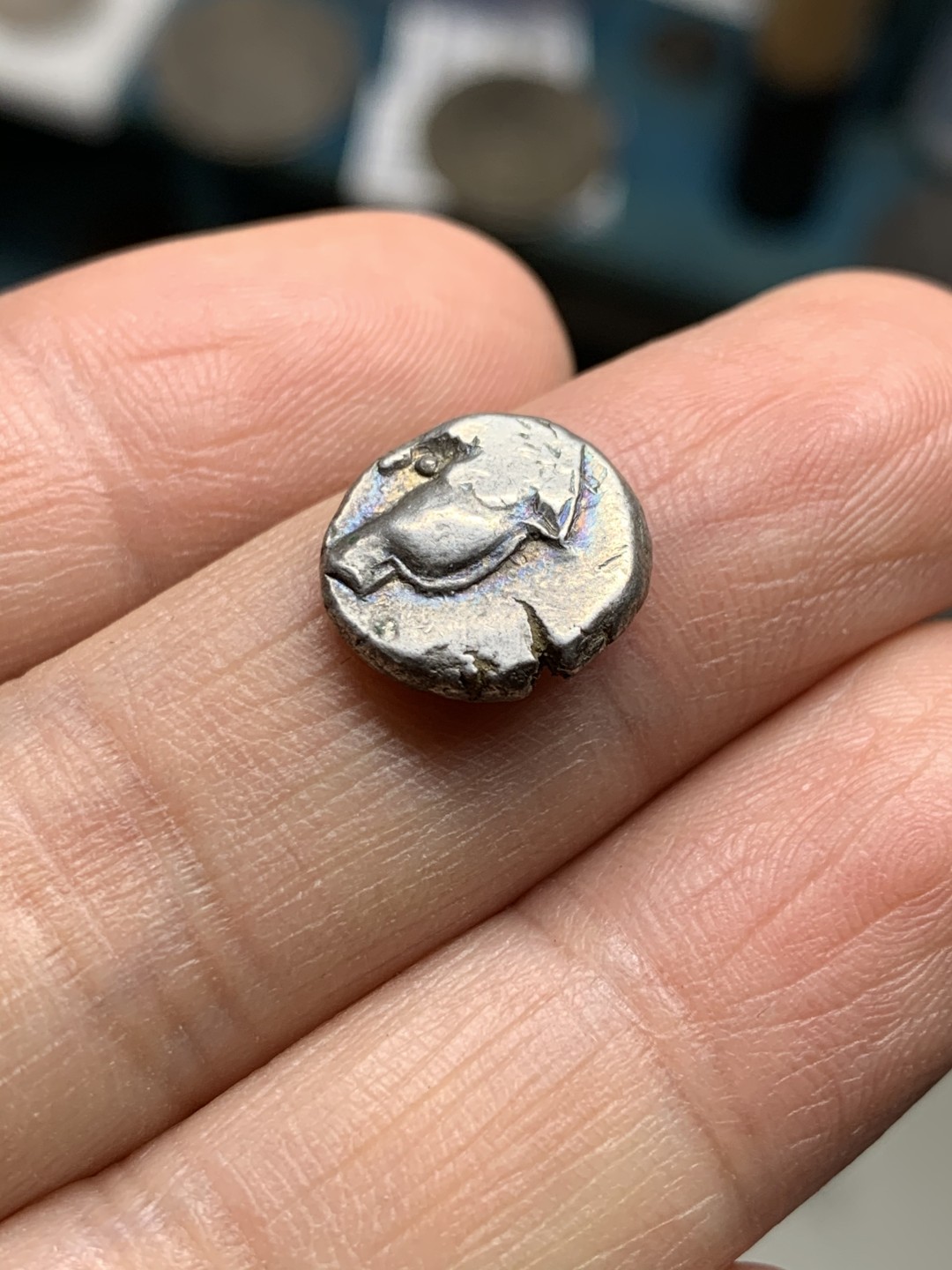 《竞宝斋》第36场-本周日 （全场顺丰包邮） 古希腊切尔松尼索斯城回头狮半德拉克马 背四格戳记，重2.5克