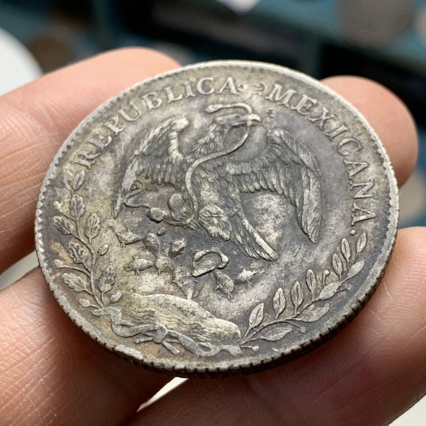 《竞宝斋》第37场-周日 首场自动拍卖 2件或者满200包顺丰 墨西哥1893年Zs 花边鹰洋8R 大银币 老包浆一流的味道