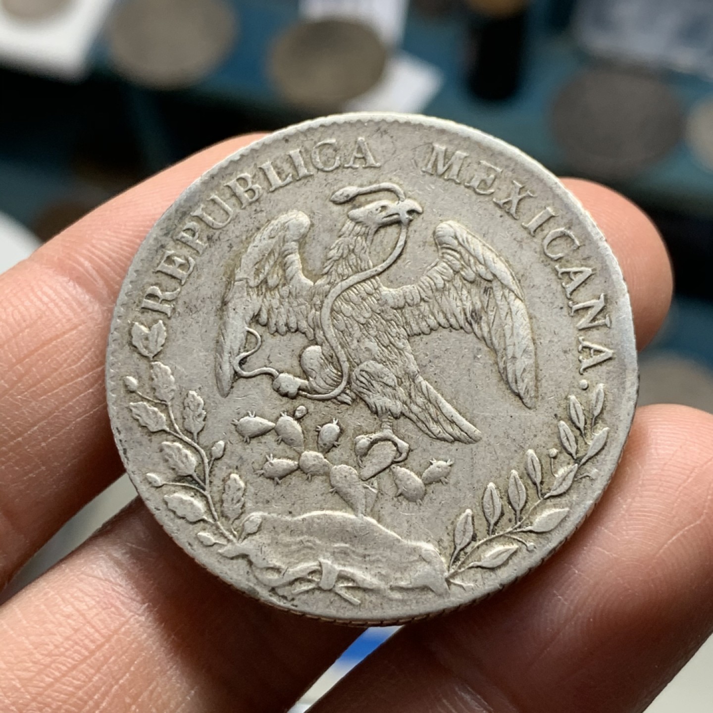 《竞宝斋》第37场-周日 首场自动拍卖 2件或者满200包顺丰 墨西哥1894年Mo 花边鹰洋8R 好品原味 大银币