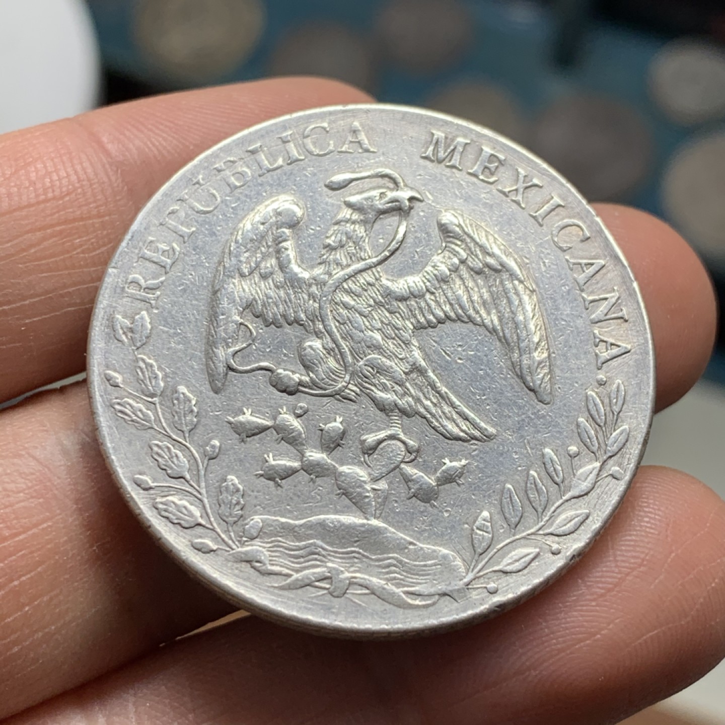 《竞宝斋》第37场-周日 首场自动拍卖 2件或者满200包顺丰 墨西哥1889年Zs 花边鹰洋8R 近全羽 大银币 