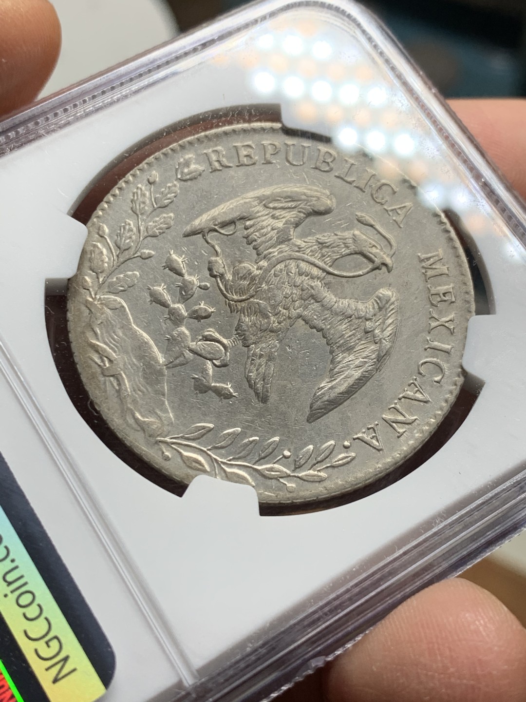 《竞宝斋》第36场-本周日 （全场顺丰包邮） NGC-AUD   墨西哥 1895年 8 里亚尔   墨西哥厂  银币     原味mo厂老鹰 