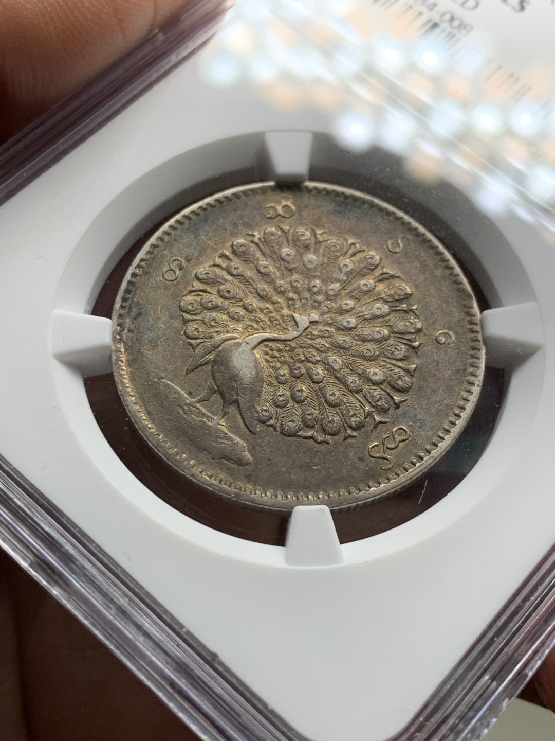 《竞宝斋》第36场-本周日 （全场顺丰包邮） NGC-AUD缅甸1852孔雀银币 au品羽毛清晰