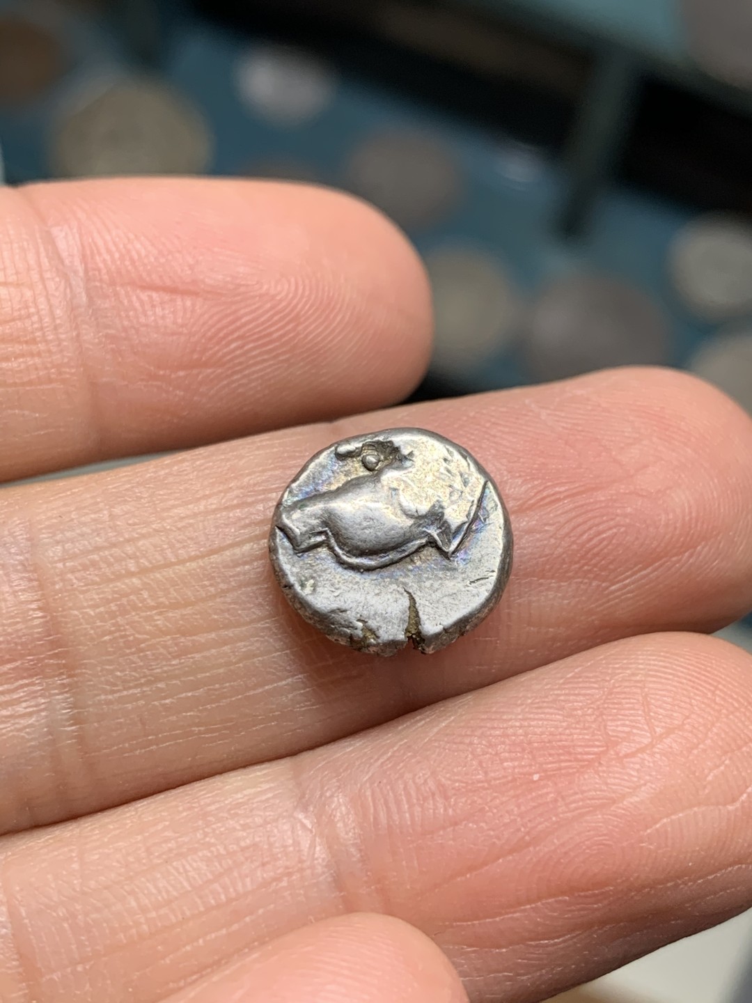 《竞宝斋》第36场-本周日 （全场顺丰包邮） 古希腊切尔松尼索斯城回头狮半德拉克马 背四格戳记，重2.5克