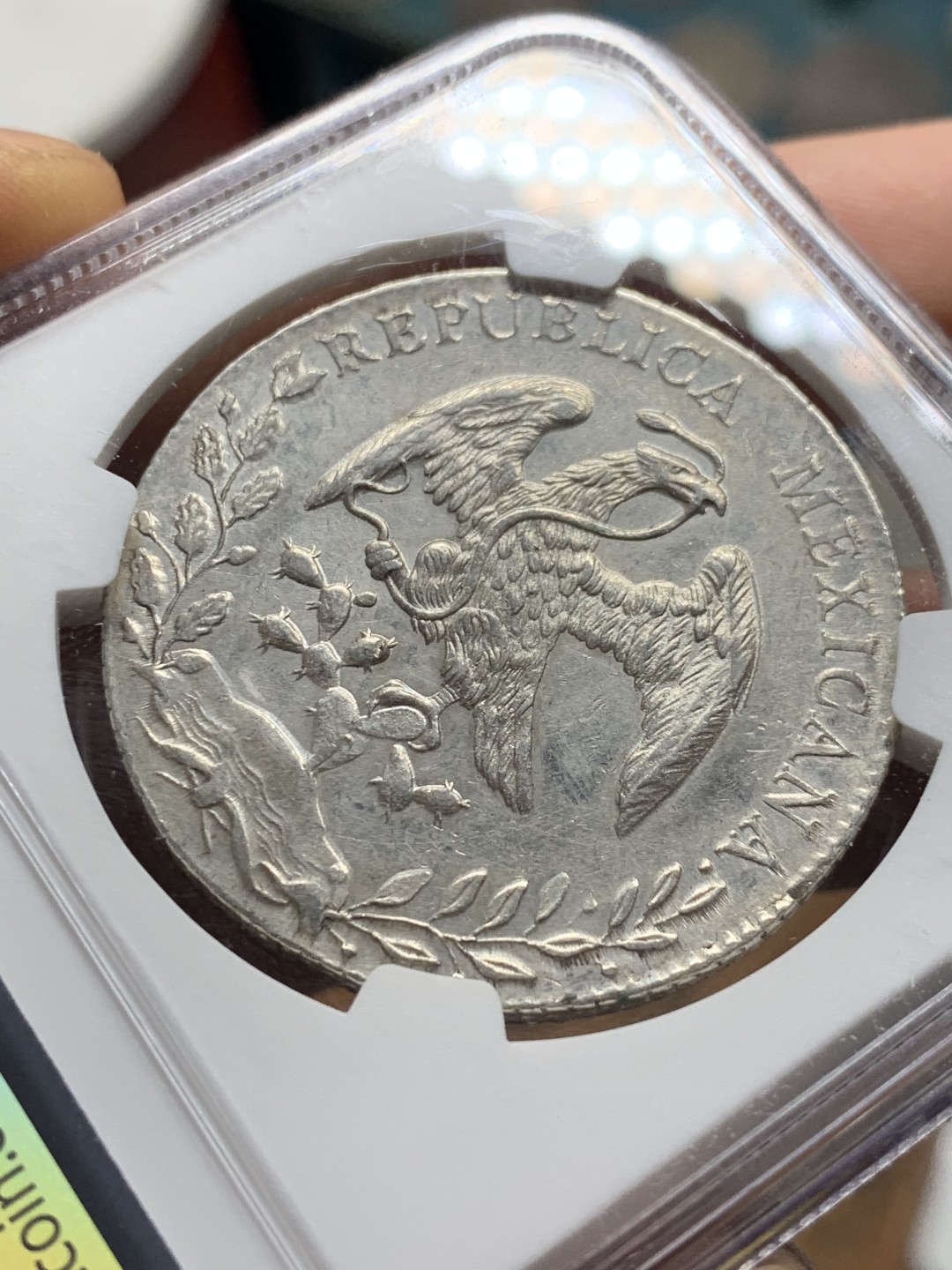 《竞宝斋》第36场-本周日 （全场顺丰包邮） NGC-AUD 1889 墨西哥鹰洋 8 里亚尔 瓜纳华托厂 银币 原味淡光 